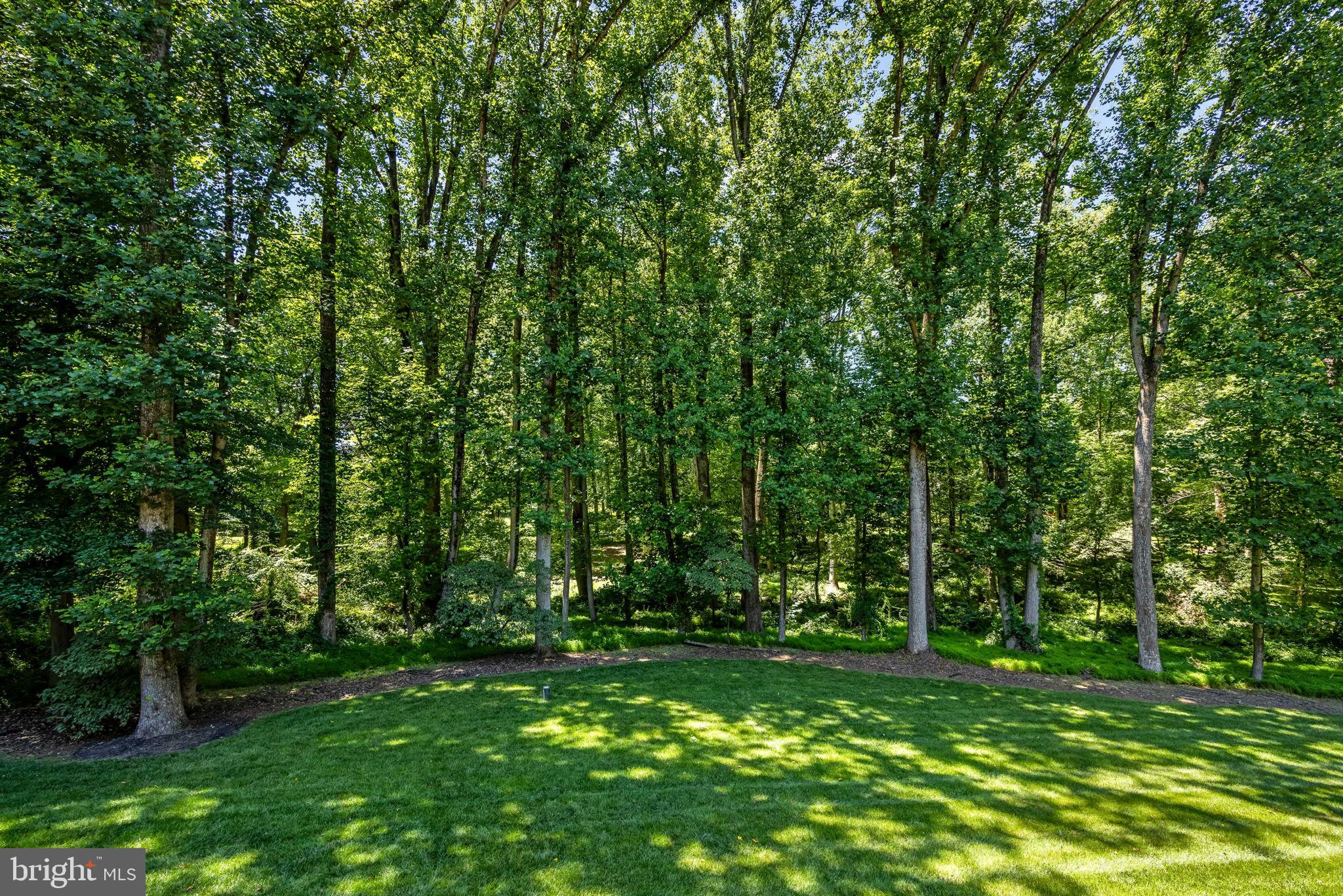 WALKER WOODS LAKE - Residential