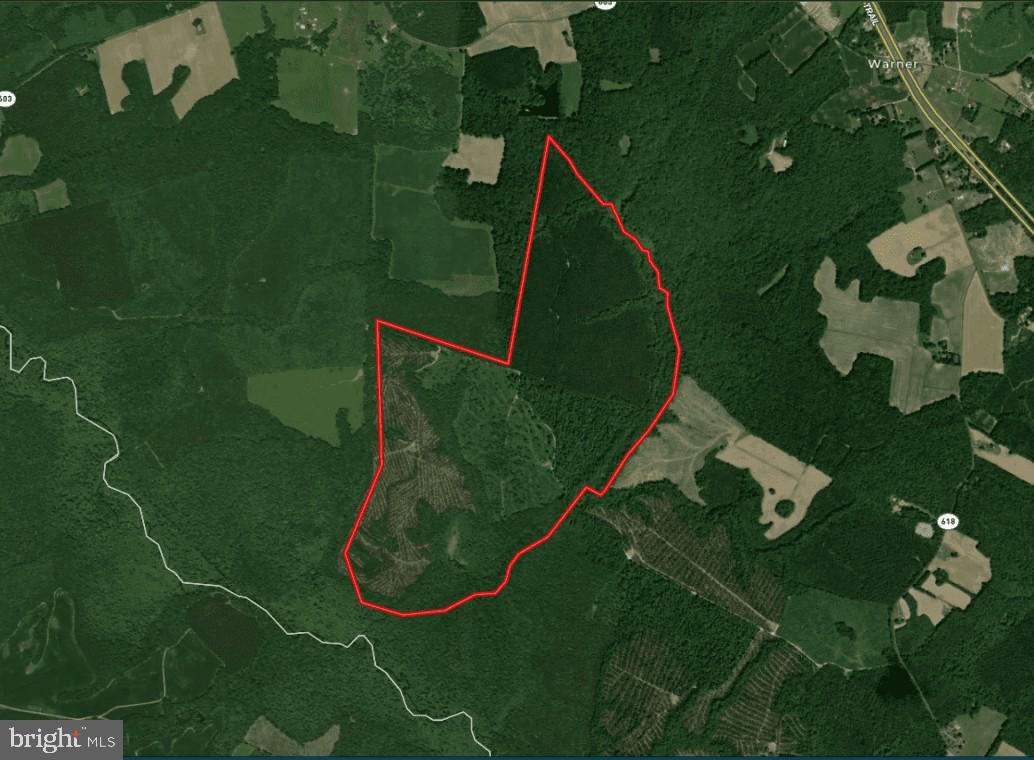 Dansey Roy Tract (NT2602) — Key Land & Tax Summary
The Dansey Roy Tract spans approximately 395 acres within the Dragon Run watershed of Virginia’s Middle Peninsula, representing a substantial, contiguous block of conserved forestland shaped by long-term stewardship and productive use. Protected under a conservation easement held by The Nature Conservancy, the property is permanently maintained as a working forest—preserving its ecological integrity while supporting sustainable timber management. The tract is further defined by its direct relationship to the Dragon Run system, with the Dragon Swamp forming a natural boundary along the southern edge of the property and extending northward along much of its eastern boundary, reinforcing both its ecological significance and landscape continuity.

The tract is defined by its scale and continuity, contributing to one of the largest unfragmented forest systems in the lower Chesapeake Bay region. Its timber base supports ongoing forest management practices, while its position within the Dragon Run and Mattaponi River corridor reinforces both habitat value and long-term environmental significance. As part of this broader conservation landscape, the property benefits from structural protections that prioritize land continuity and ecological function.

Per paragraph 2.1 Subdivision and paragraph 2.2 Building Envelopes, these properties can be managed for limited residential use, designed to minimize impact on the surrounding forest. The tract’s size and internal access also support a range of recreational uses, including hunting and passive land enjoyment, without compromising its primary function as managed timberland.

The Dansey Roy Tract is best understood as a scaled, institutionally aligned landholding—where conservation objectives and biological productivity converge within a protected and increasingly scarce forest system. 

Property boundaries are estimated based on available data and are not warranted. Property owner to provide title research for Buyer prior to closing. 

Location & Identity
Name: Dansey Roy Tract
Legal Description: Nottoway #2602
Parcel ID: 18-43
County: Middlesex County, VA
Coordinates: 37.6300184, -76.6412694

Acreage & Size
Acres: 395 acres (note: marketed acres — needs reconciliation)

Volume Breakdown
Hardwoods
Sawtimber: 571.59 MBF 
Pulpwood: 3,386.23 tons

Softwoods
Sawtimber: 2,261.36 MBF
Pulpwood: 13,604.35 tons
