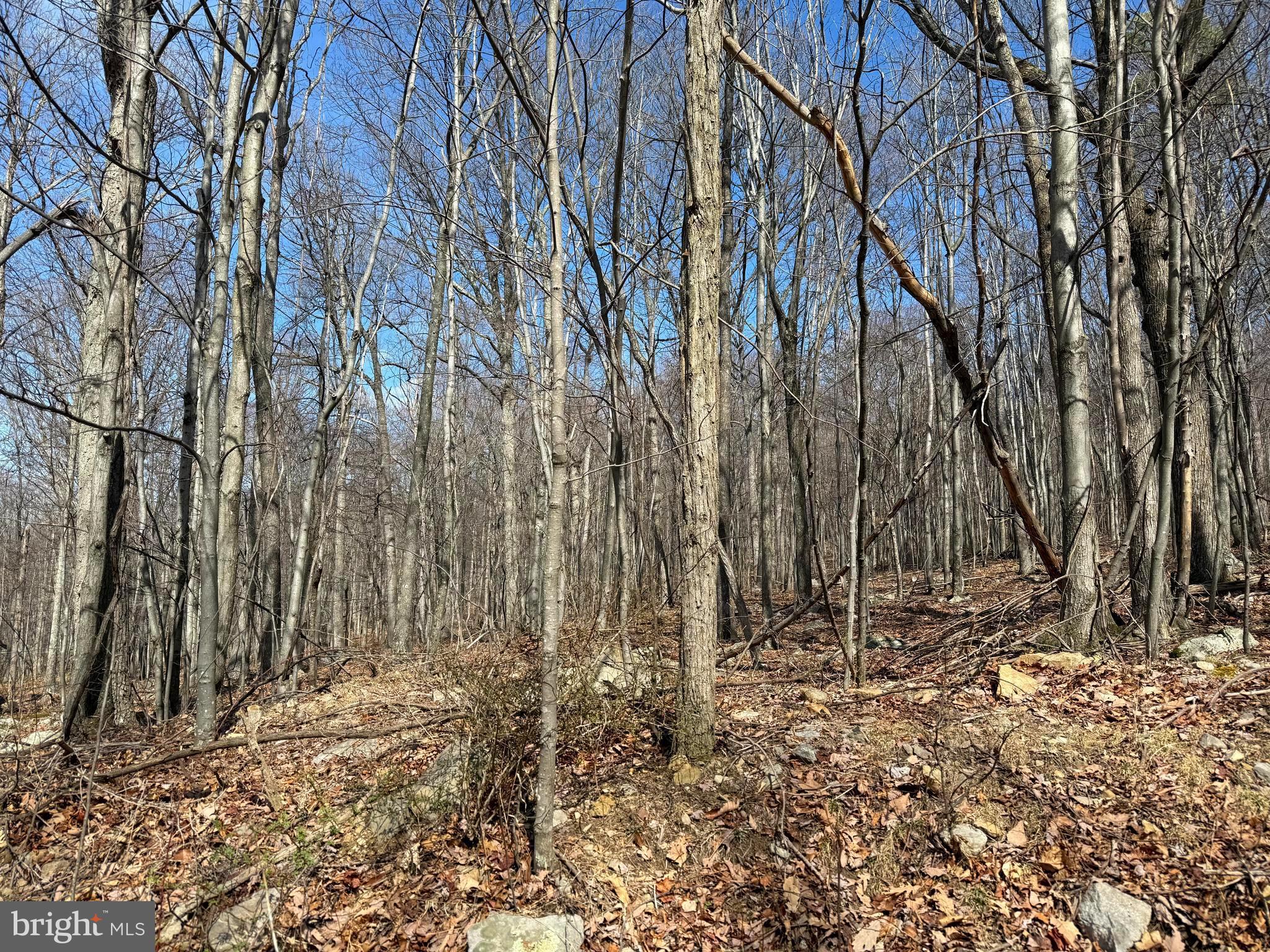 A great opportunity to purchase a little over 2 acres in Nathaniel Mountain Heights. You will feel like you are driving to the top of the world, but it is just a little over half of a mile from the main road. The lot makes for a great build site for your forever home, weekend get-away or camp. You can set up camp and take advantage of the easy 1.1 mile commute to the Nathaniel Mountain Wildlife Management Area. Nathaniel Mountain WMA offers over 10,000 acres of hunting, fishing, hiking and outdoor exploration of the beautiful, mountainous terrains of West Virginia. This property is convenient to the town of Romney where you can shop at locally owned shops, dine and enjoy the local flavors, take the Potomac Eagle Scenic Railroad for a picturesque ride through the valley while spotting eagles, or venture down to the South Branch Potomac River to float or fish. Plenty of recreational activities just down the road, all while enjoying the peace and privacy this property offers. It is just an hour's drive from I-81 in Winchester, VA or I-68 in Cumberland, MD, and only a 2-hour drive from Washington, DC and Dulles Airport.
