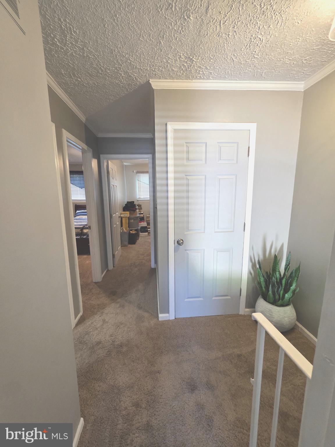 GLASGOW PINES - Residential