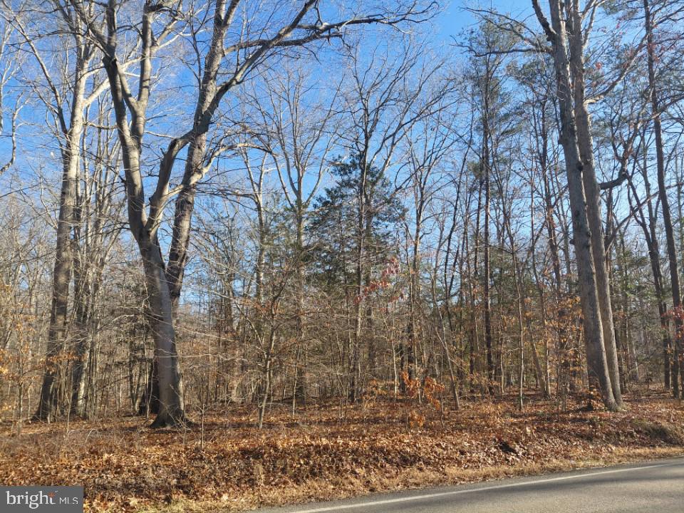 Build your dream home or family compound on this 7.3 acres wooded lot with two approved percs!