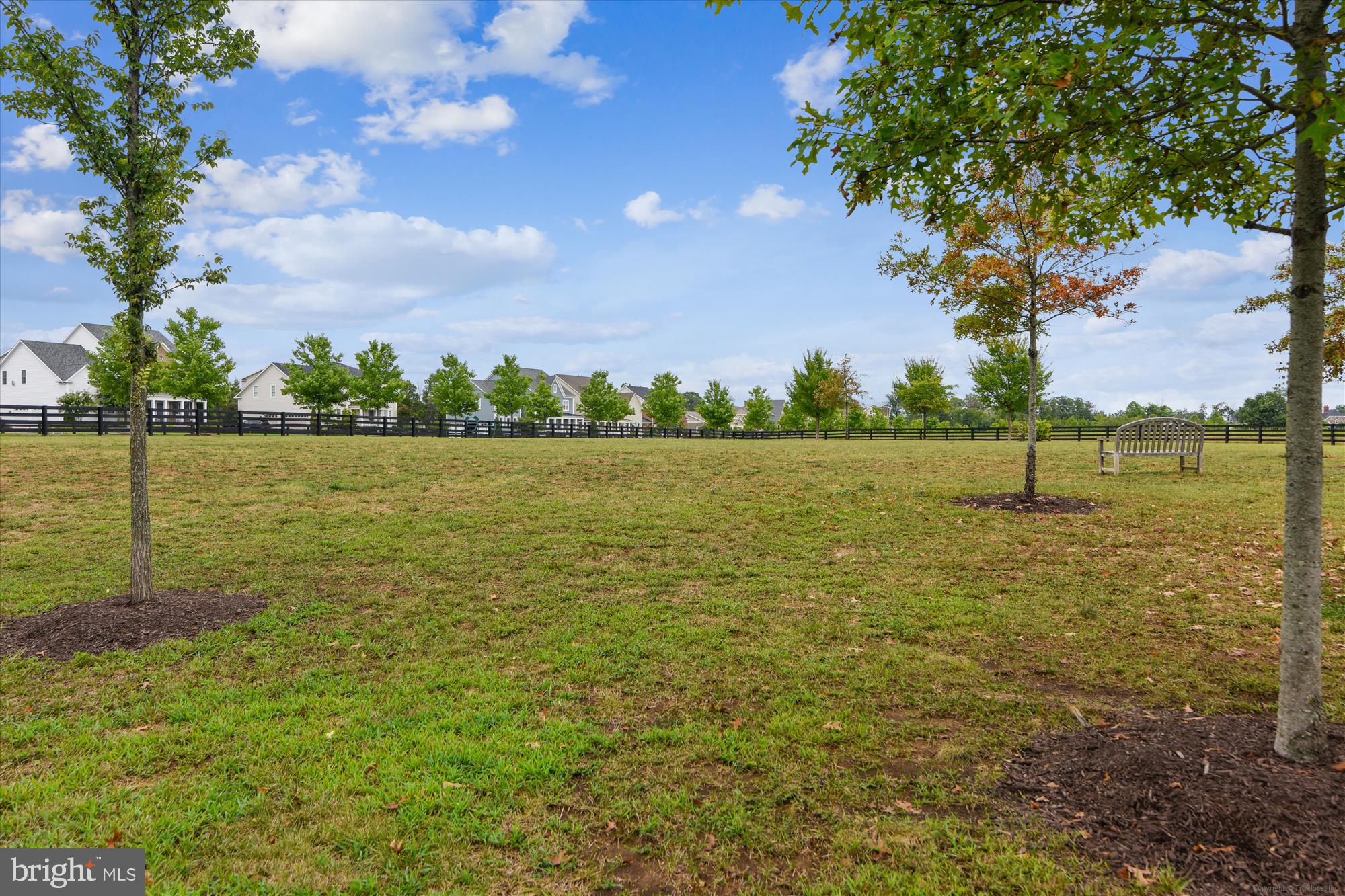 GROVE AT WILLOWSFORD - Residential