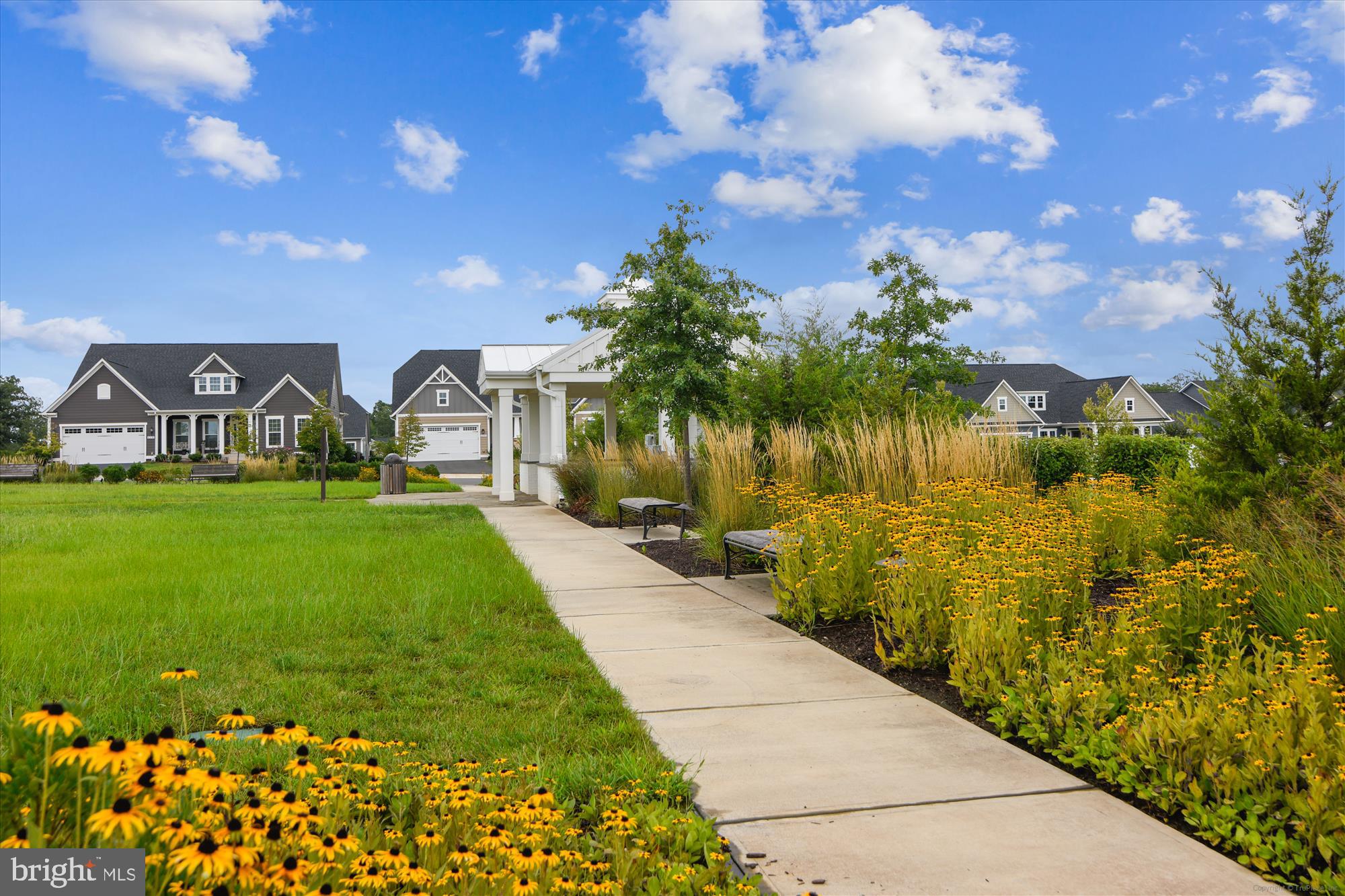 GROVE AT WILLOWSFORD - Residential