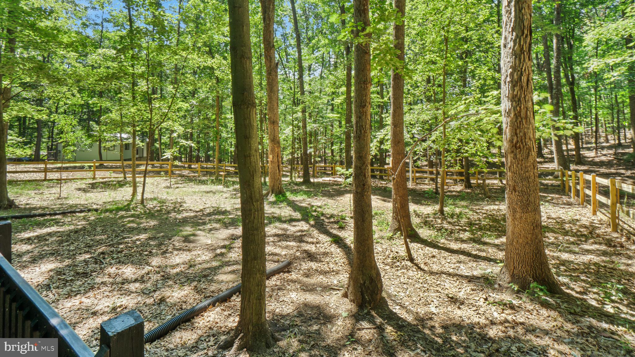 THE WOODS RESORT - Residential