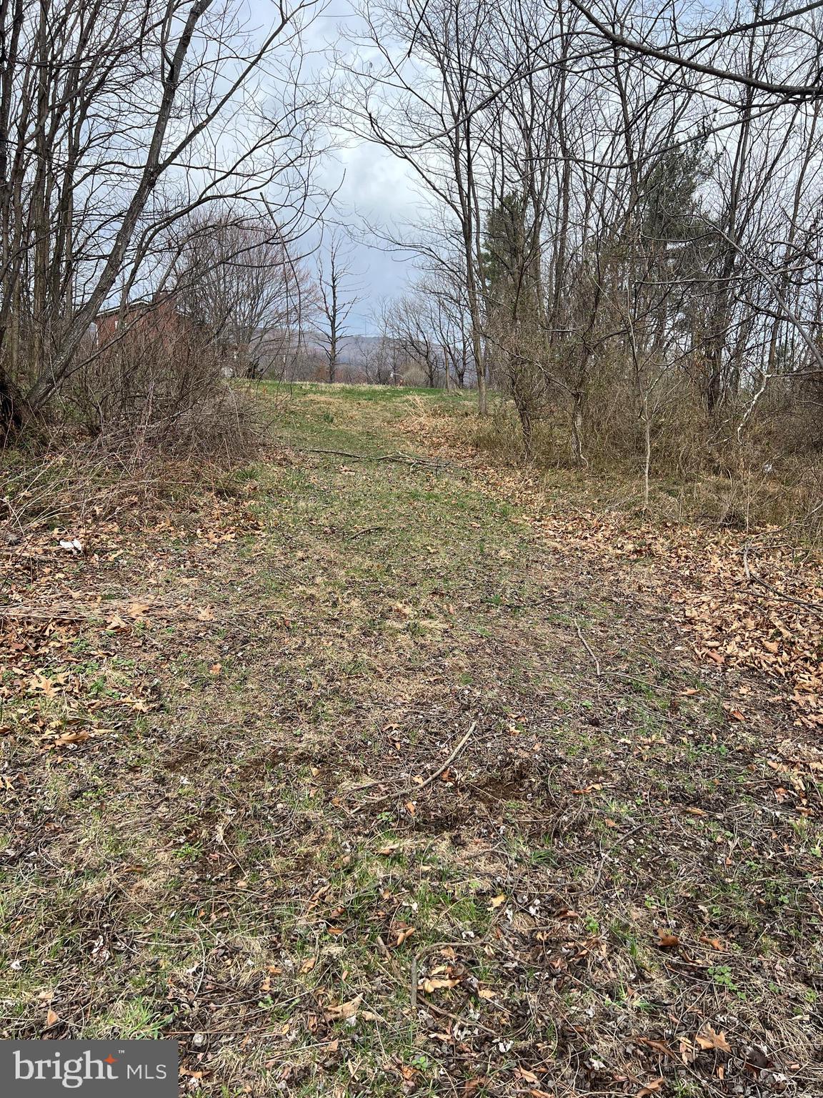This 1/2 acre building lot offers the perfect blend of privacy, accessibility, and natural beauty, making it an ideal location for your dream home or investment property. Convenient to nearby amenities, including a golf course, shopping and the local hospital.