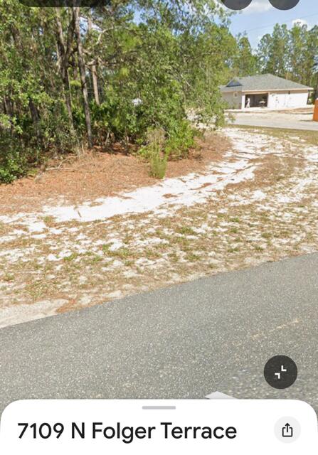 CORNER LOT.  Build your dream home.  No HOA.  New homes already in the area.  Quiet neighborhood.  Minutes from shopping, restaurants.  The property is close to Rainbow Springs State Park.  Short drive to Homosassa Springs and Crystal River!  20' from Top of The World community. LOT NEXT - 7129 FOLGER AVE, ALSO FOR SALE.  BUY BOTH FOR $60K