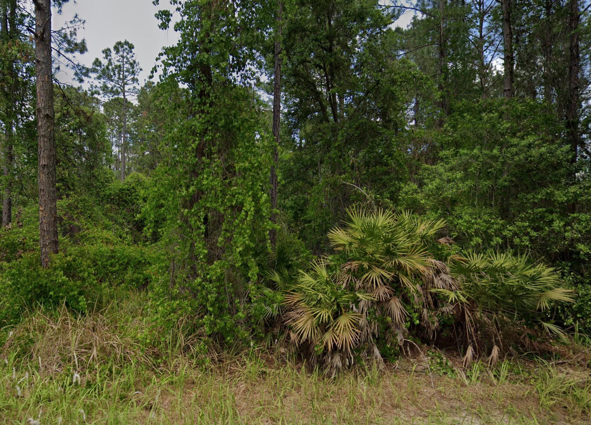 INTERLACHEN LAKES ESTATES - Land