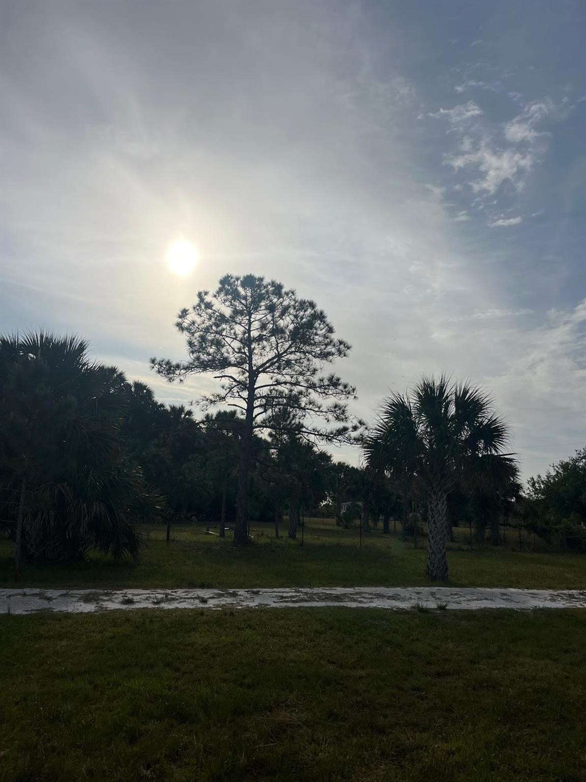 SOUTHERN COLONIZATION CO - Land
