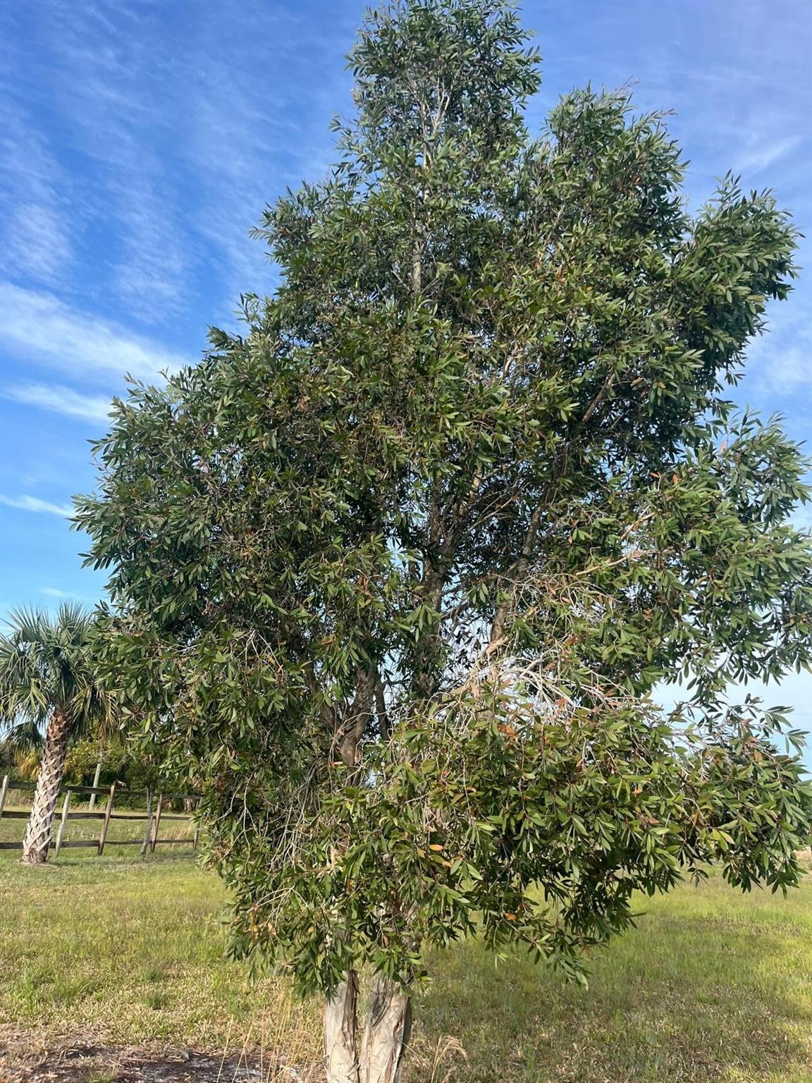 SOUTHERN COLONIZATION CO - Land