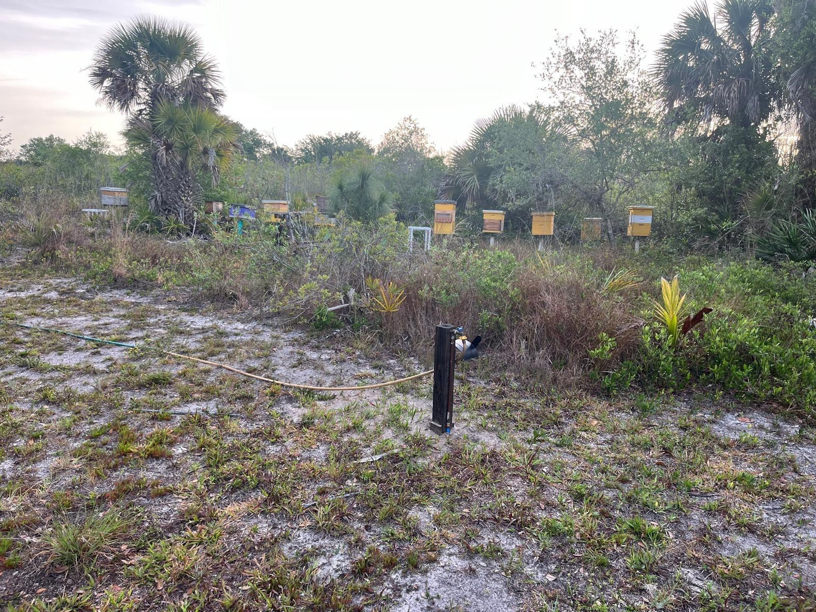 SOUTHERN COLONIZATION CO - Land