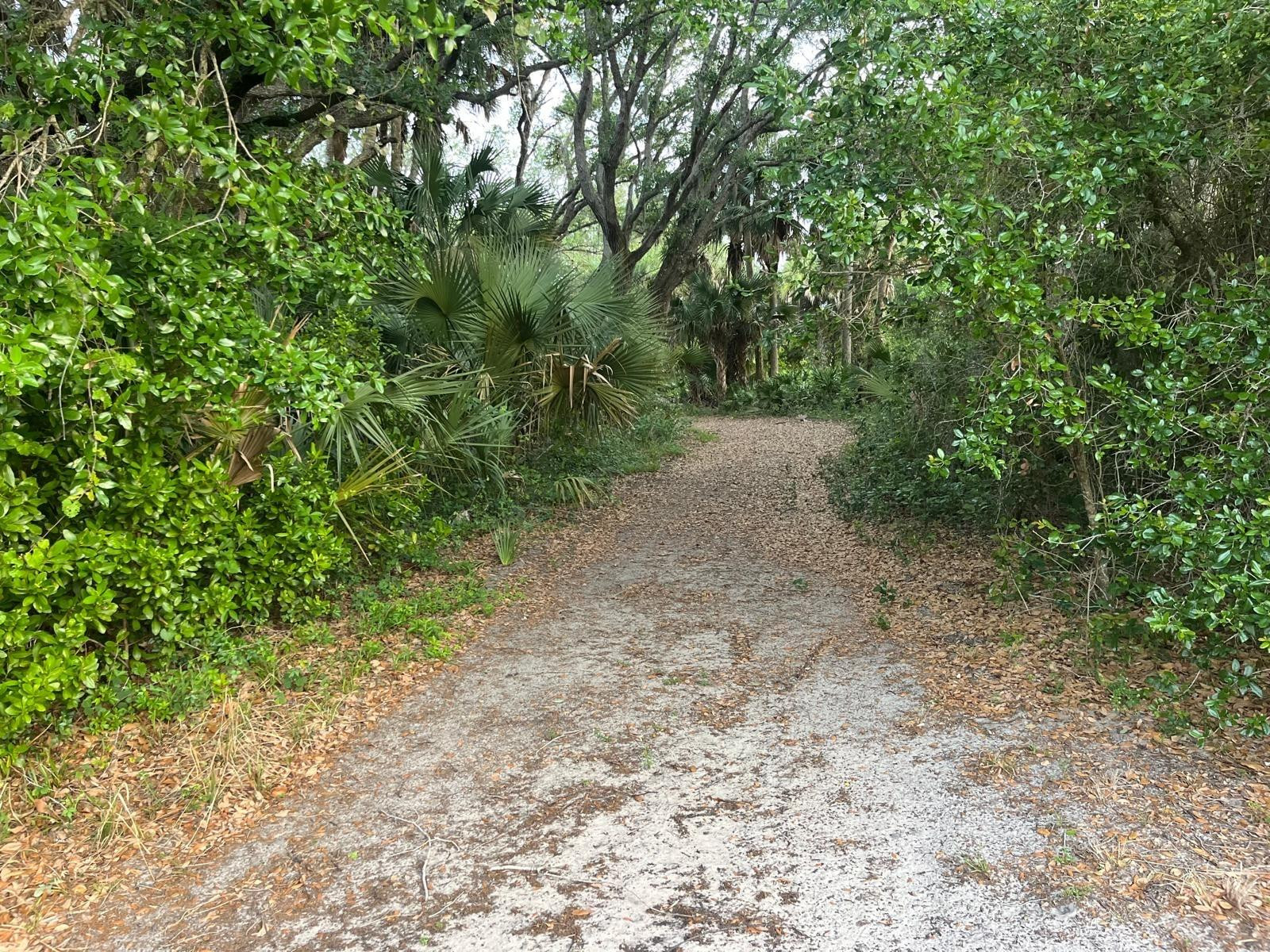 SOUTHERN COLONIZATION CO - Land