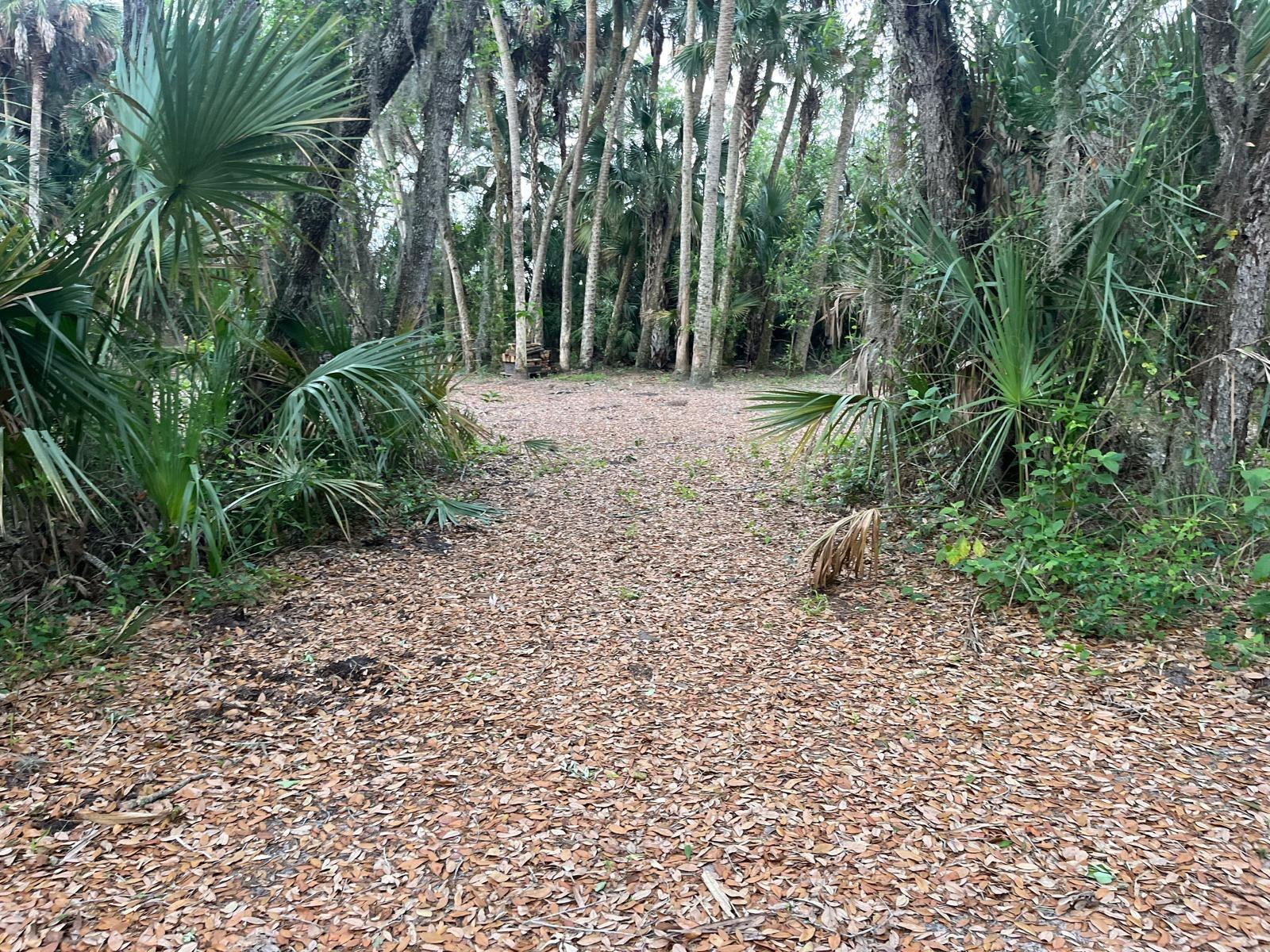 SOUTHERN COLONIZATION CO - Land