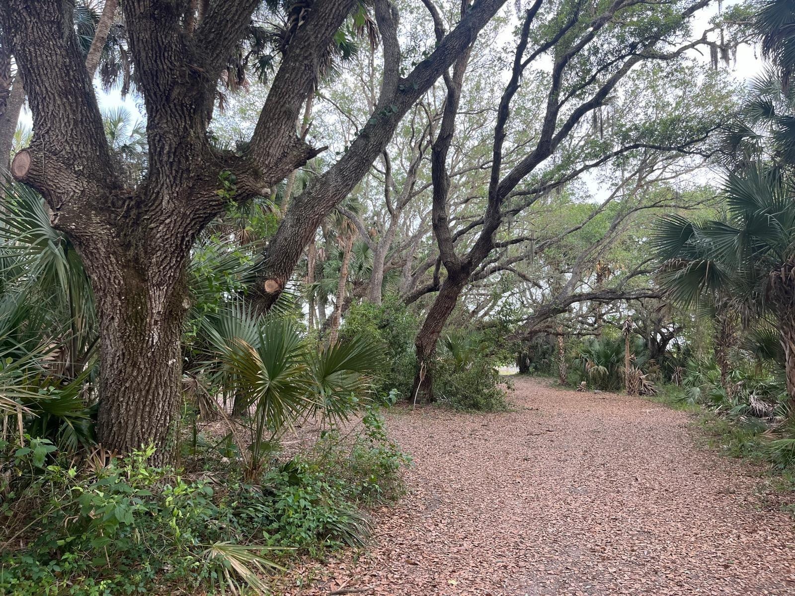 SOUTHERN COLONIZATION CO - Land
