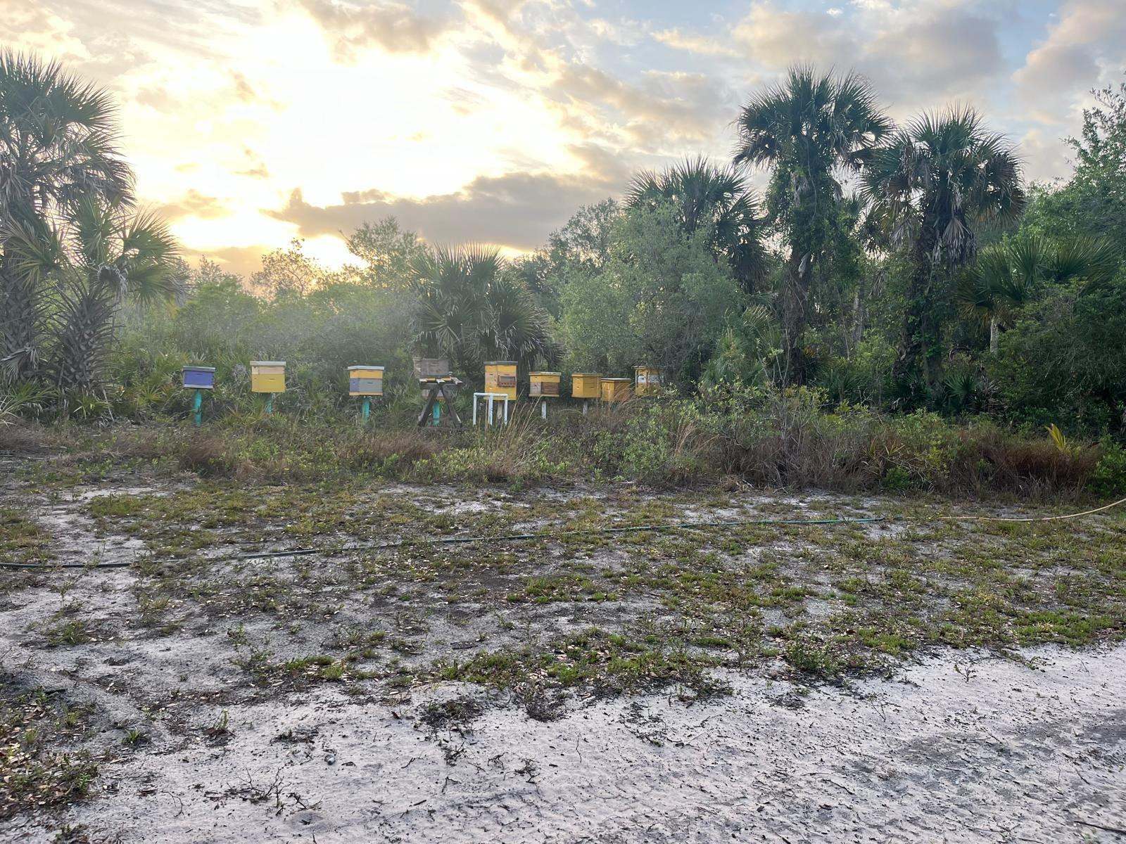 SOUTHERN COLONIZATION CO - Land