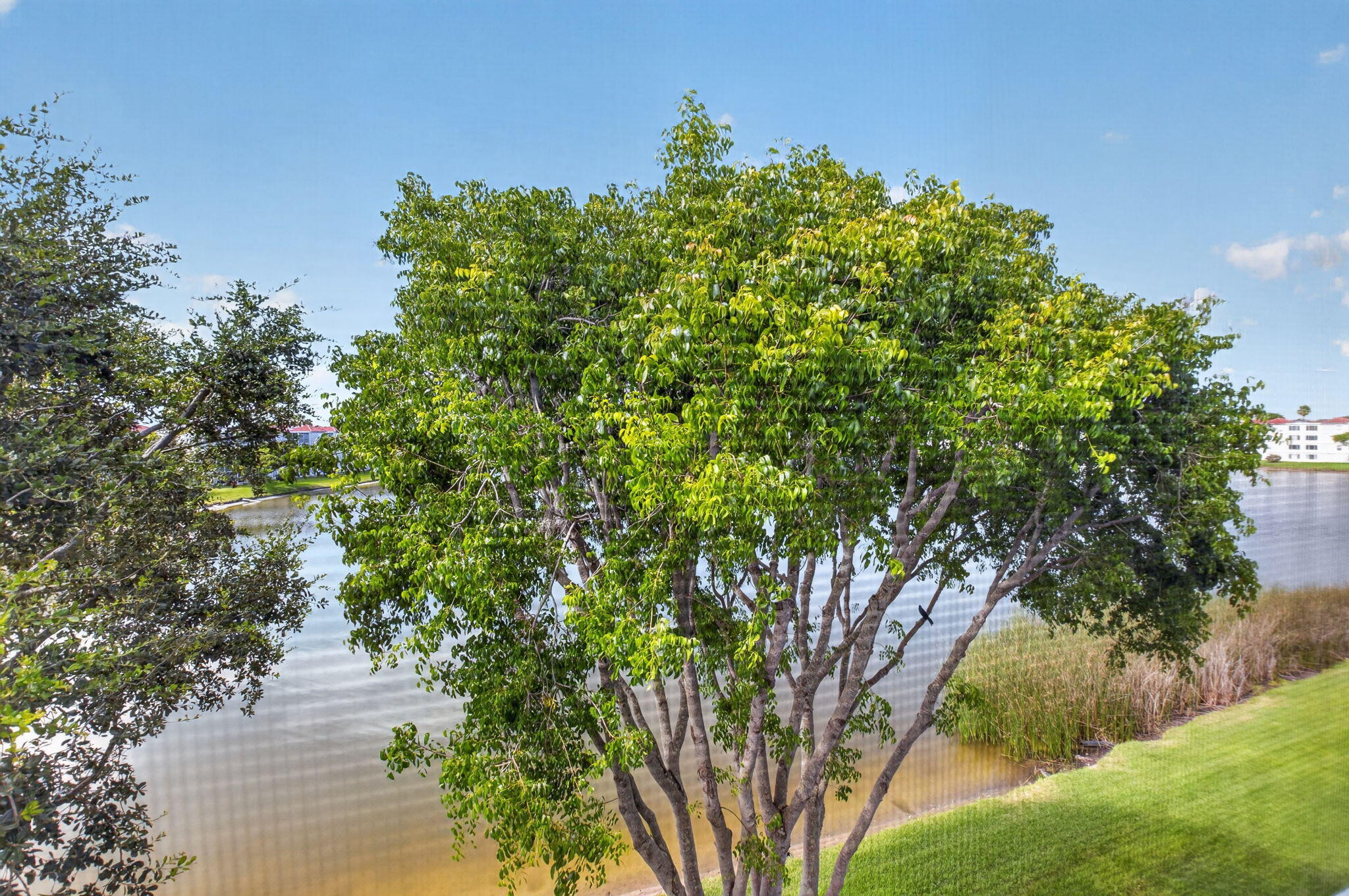HUNTINGTON POINTE - Residential