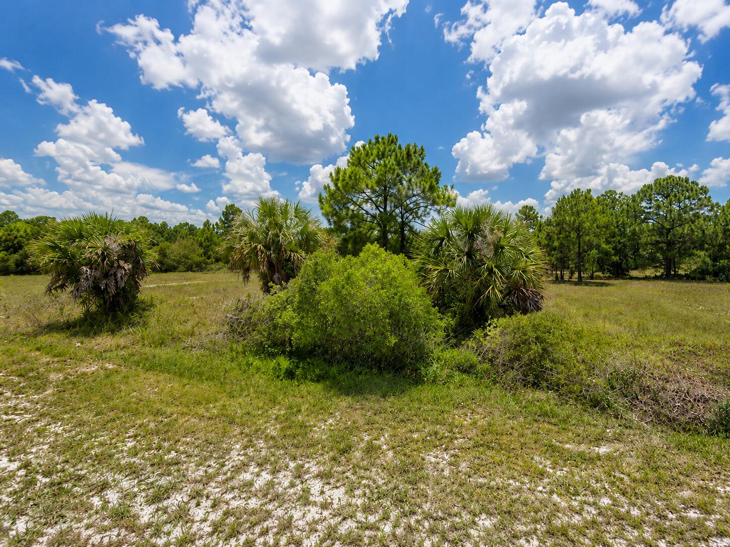 MONTURA RANCH UNREC SEC 27 - Land