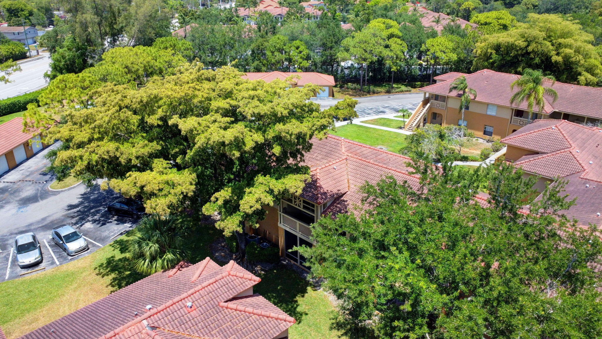 PALM LAKE CONDOMINIUM - Residential