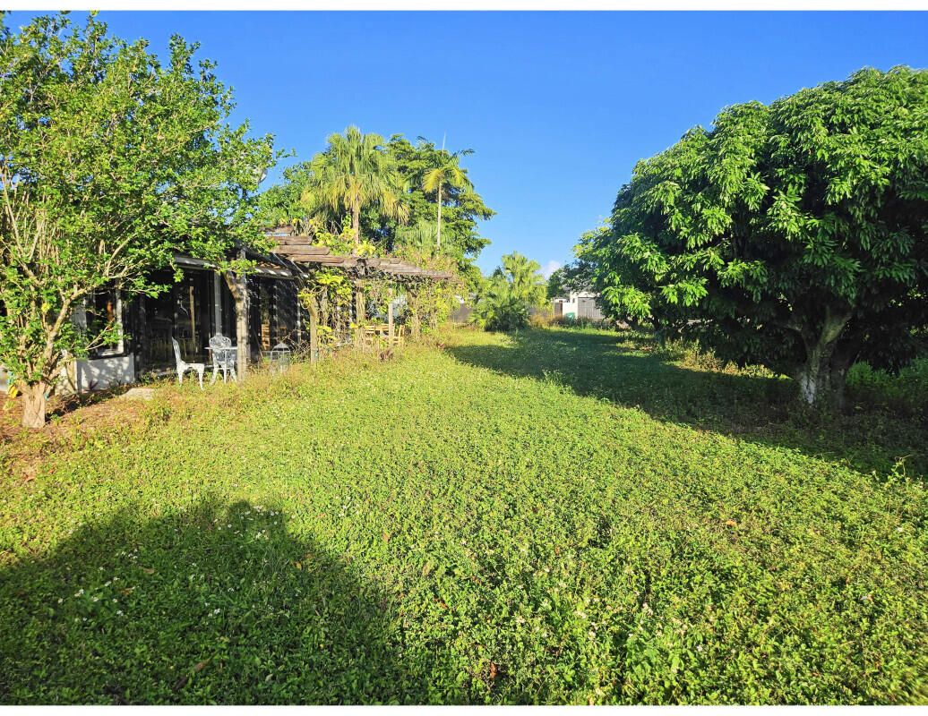 Beautiful House in a 5 acre Lychee Farm.