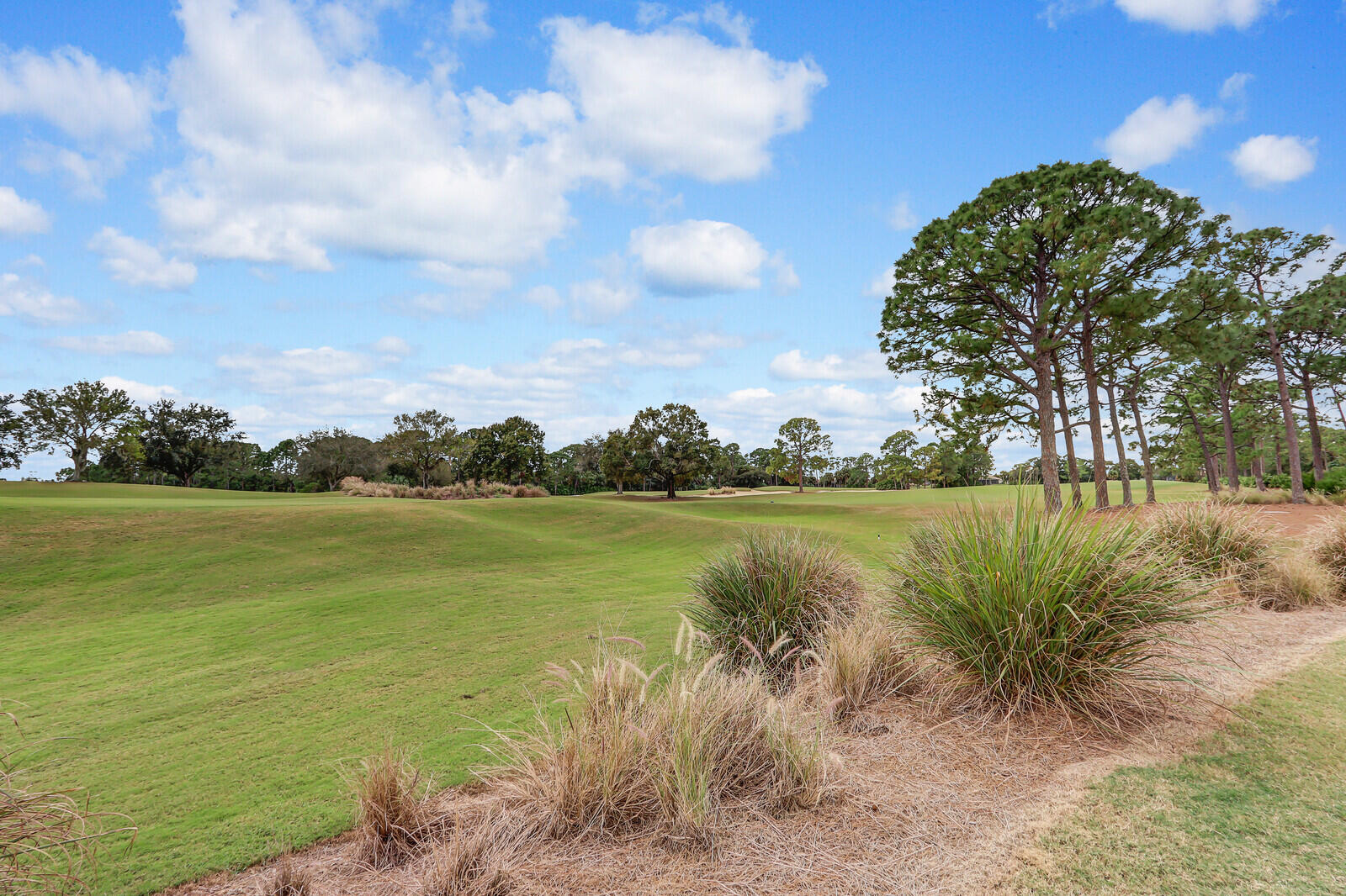 POD 28 AT THE RESERVE - Residential