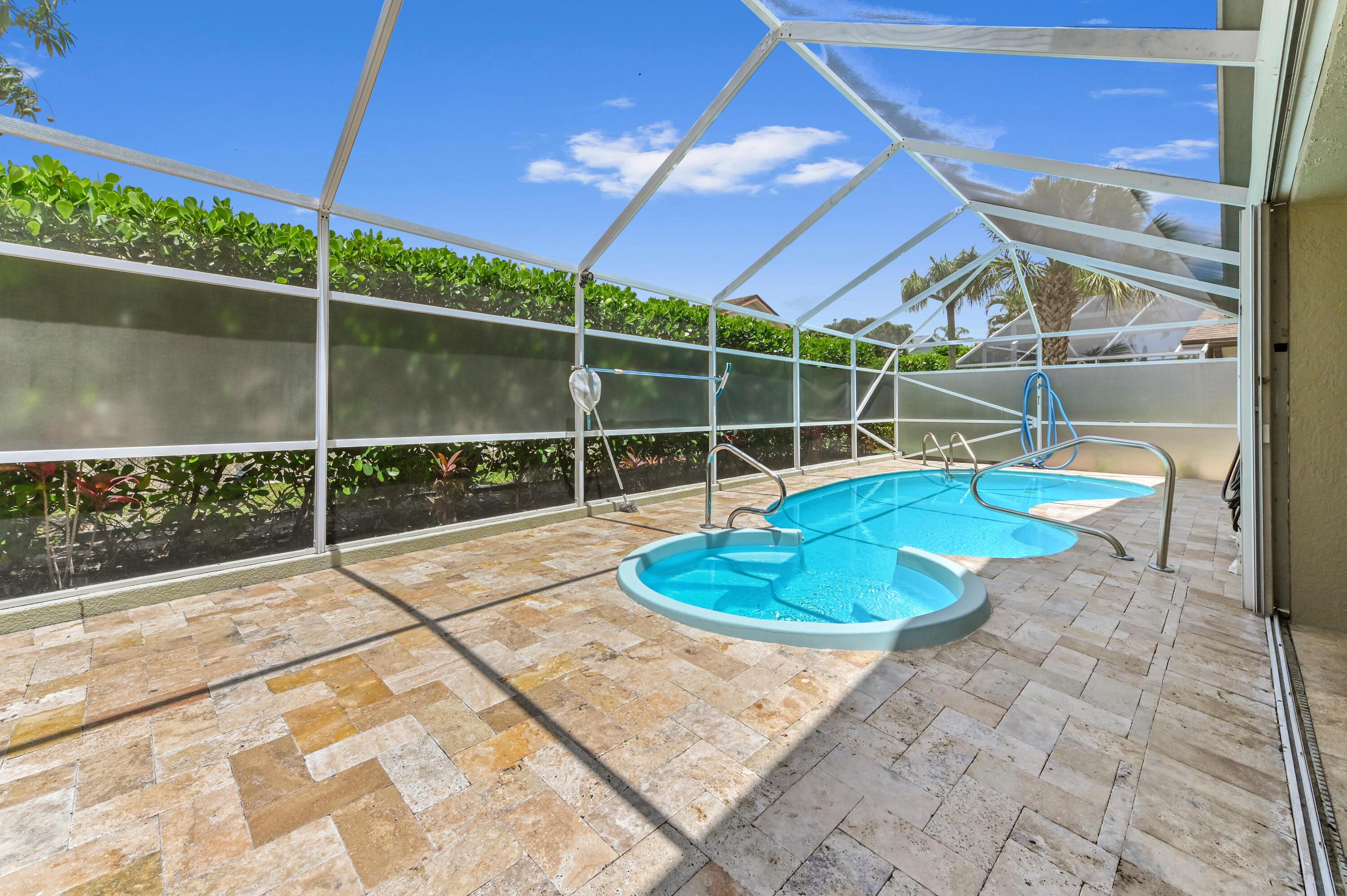 Olive Tree - Residential
