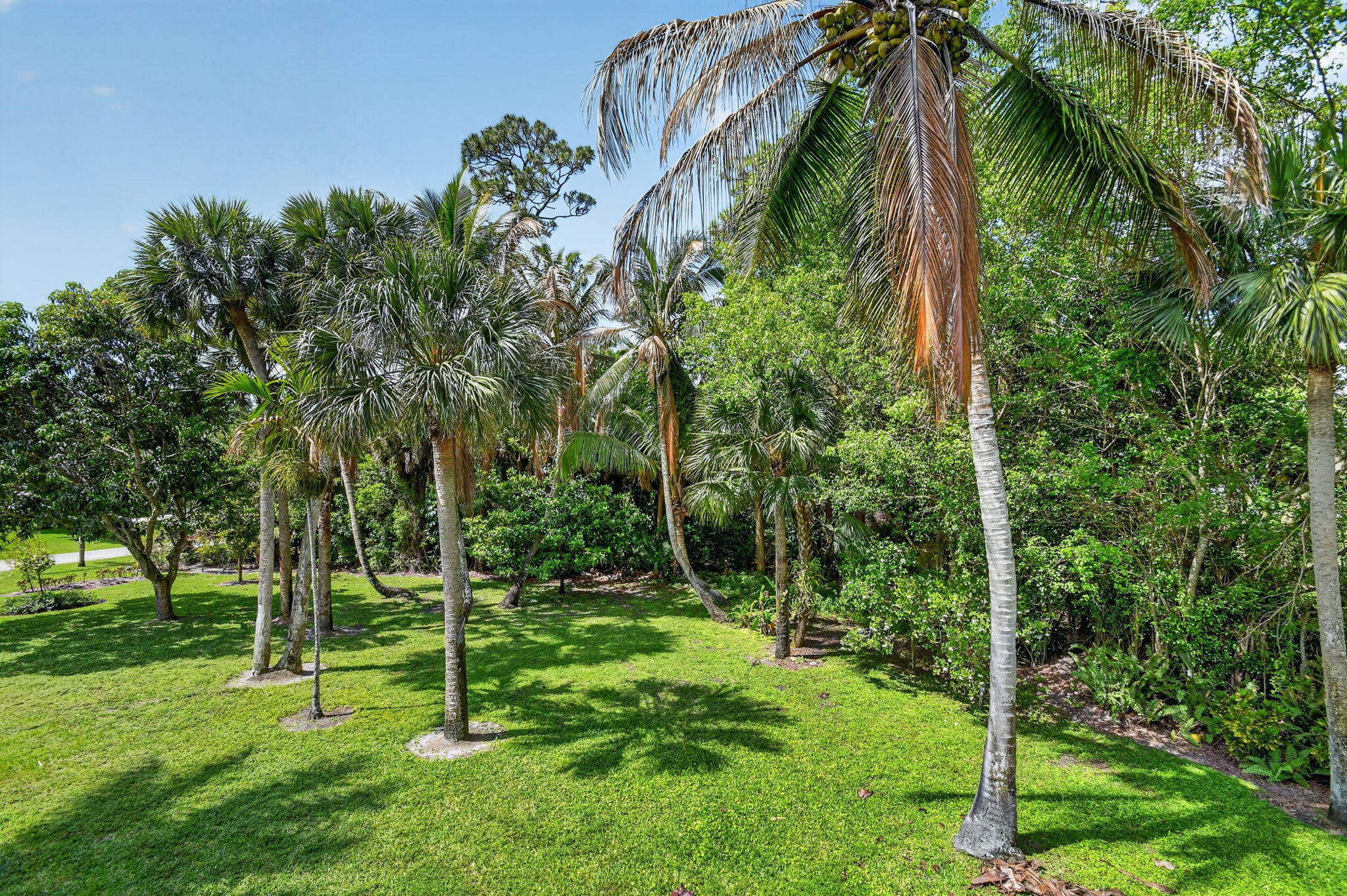PINEWOOD OF WELLINGTON - Residential
