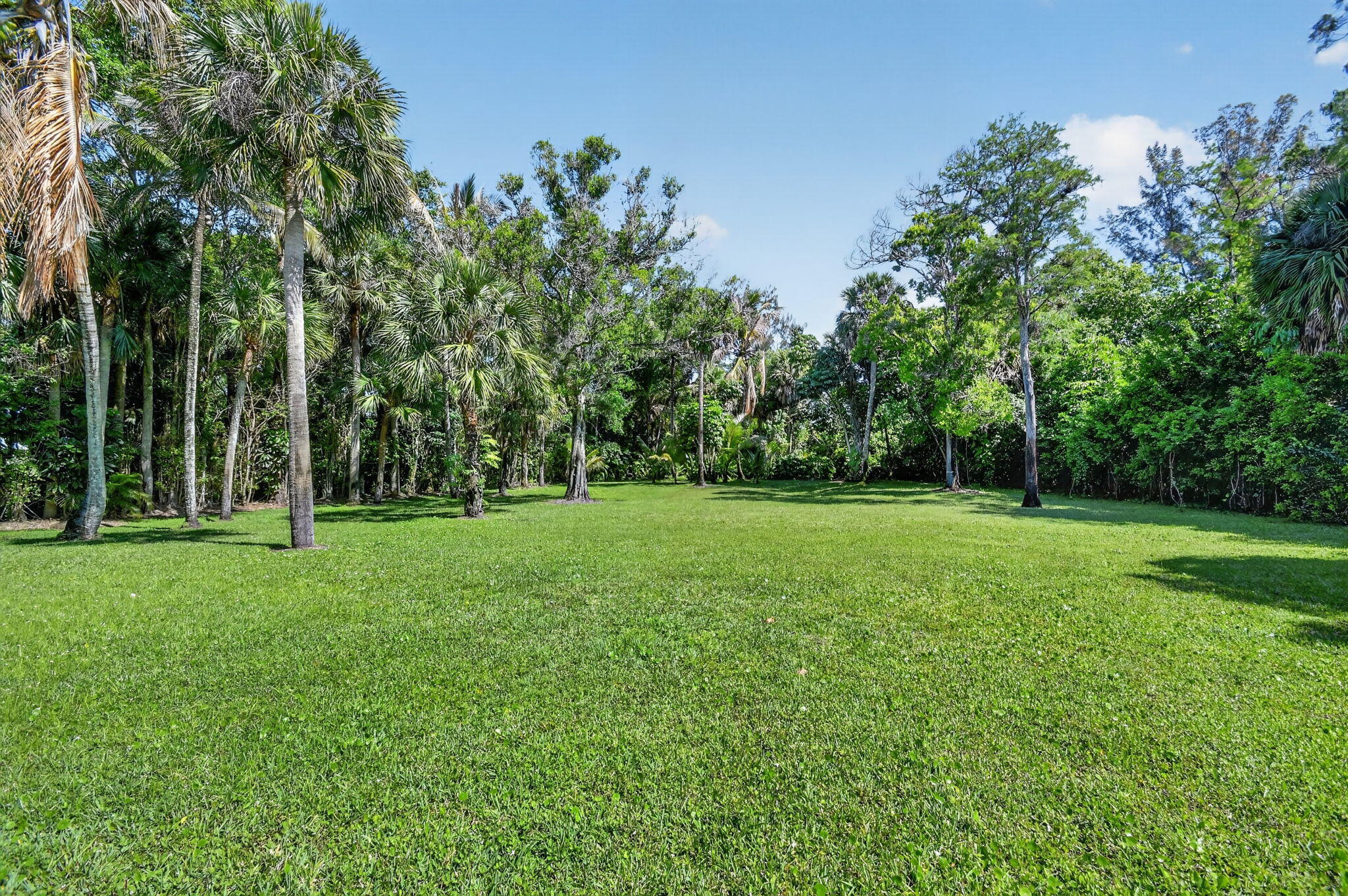 PINEWOOD OF WELLINGTON - Residential