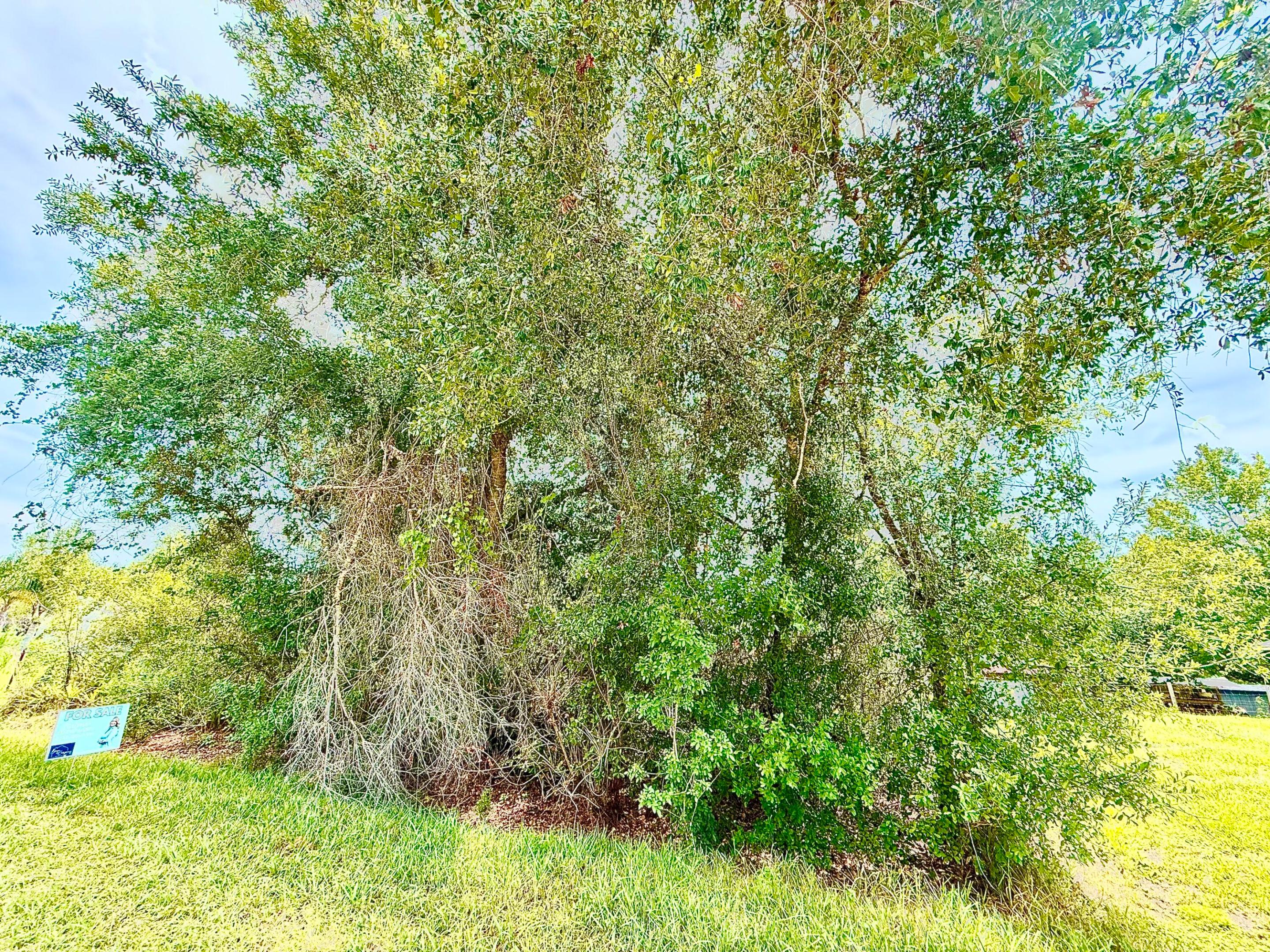 Peaceful country living on this vacant lot in desirable Okeechobee!! Perfect for a mobile home//double-wide. Surrounded by natural beauty, native trees, and local wildlife, this property offers the perfect setting for your future home or getaway. Experience the tranquility of rural living while still being conveniently located near Okeechobee's amenities and outdoor recreation.
