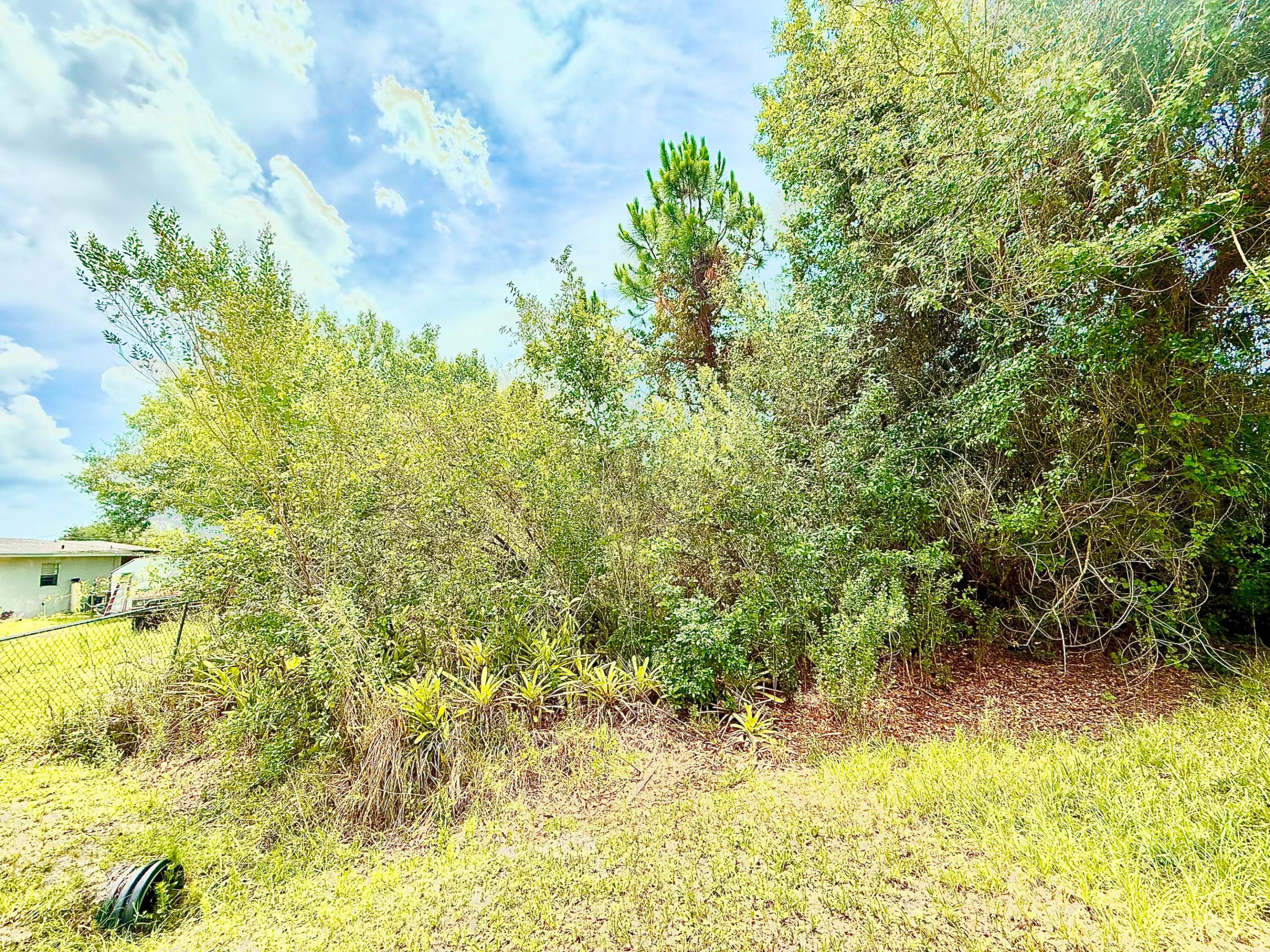 ORANGE BLOSSOM RANCHES - Land