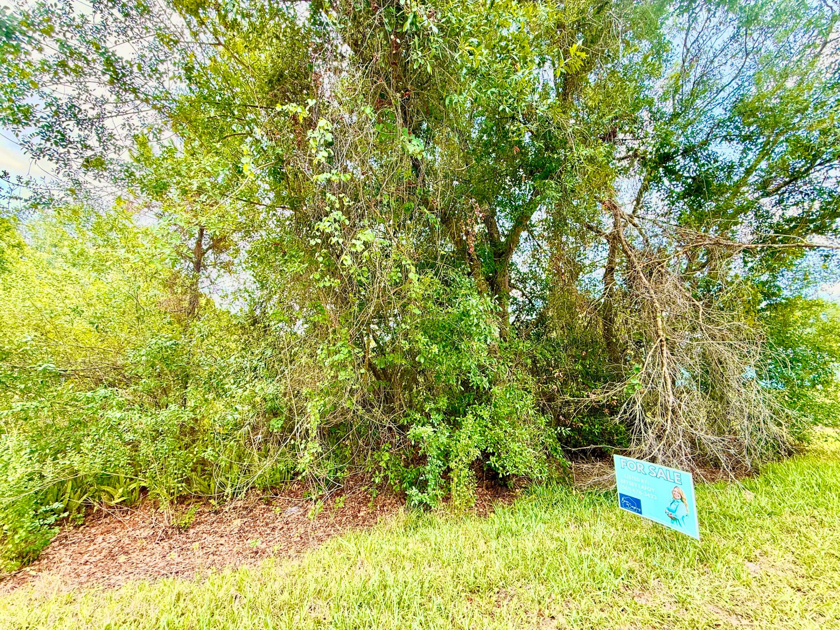 ORANGE BLOSSOM RANCHES - Land