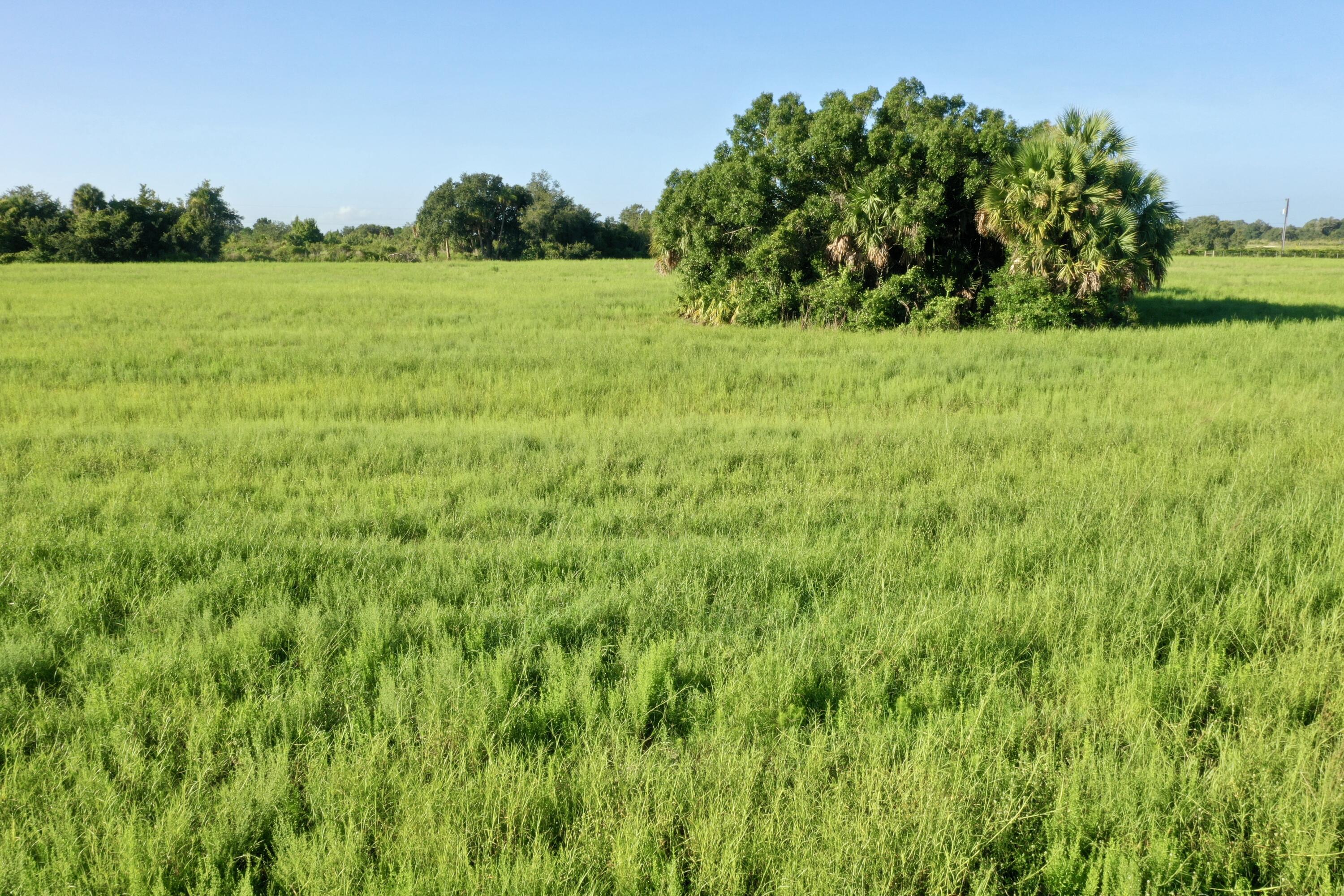Southern Colonization - Residential