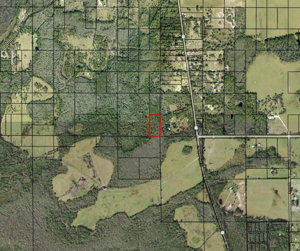 GS46 Green Swamp - Land