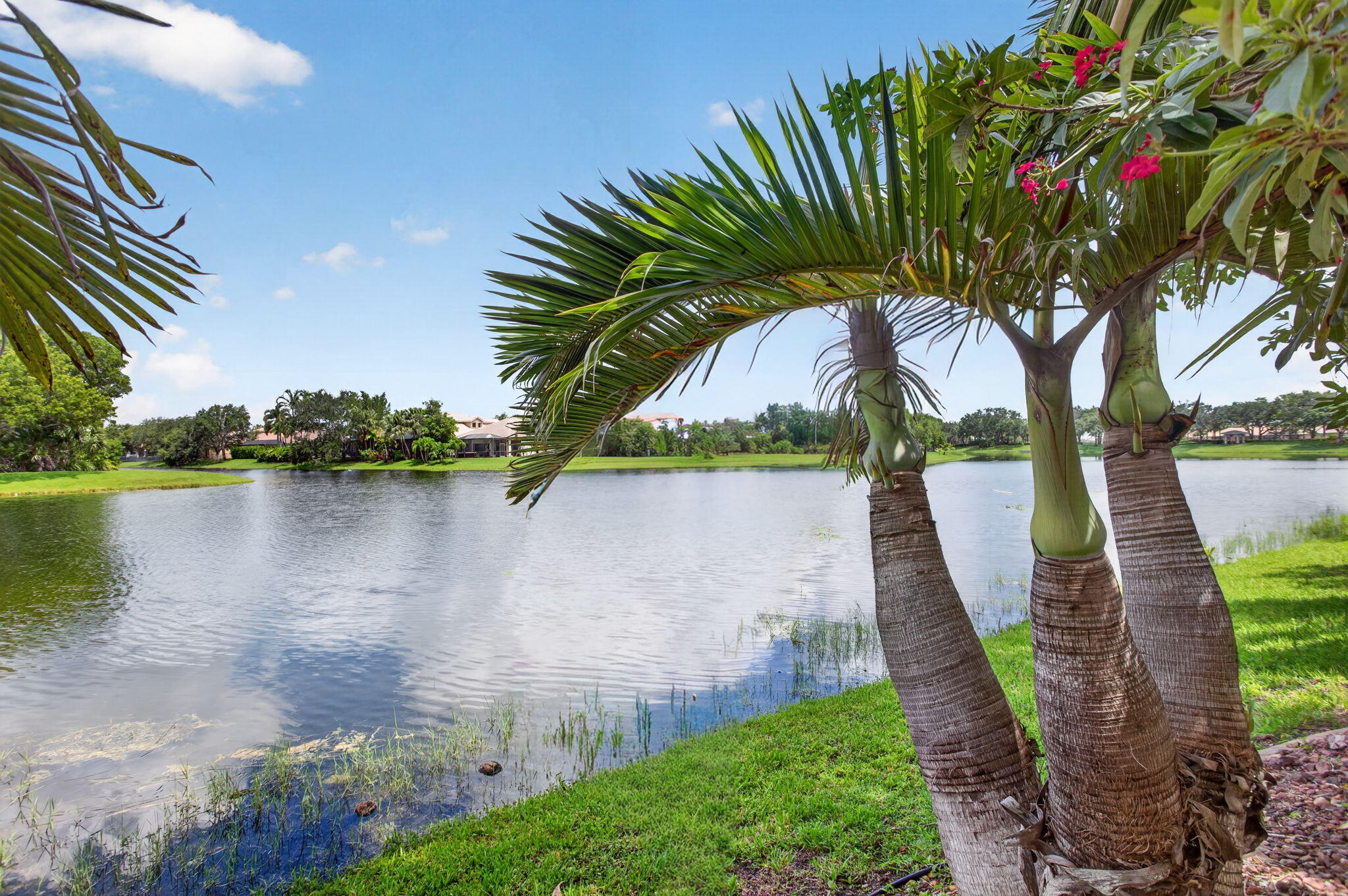 PARKLAND ISLES - Residential
