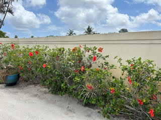 SARATOGA POINTE - Residential Lease