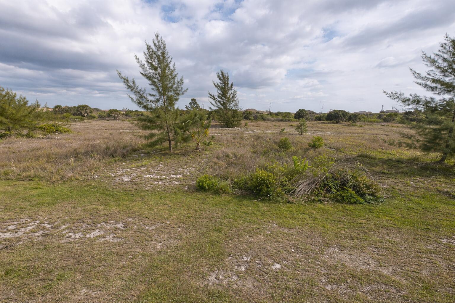 Excellent opportunity to own a residential lot in the highly sought-after South Gulf Cove area! This property is ideal for building your future home or holding as an investment. Enjoy a peaceful setting while still being close to local amenities, golf courses, marinas, and pristine Gulf Coast beaches. Public utilities available in the area. A great location for those looking to enjoy Southwest Florida living.