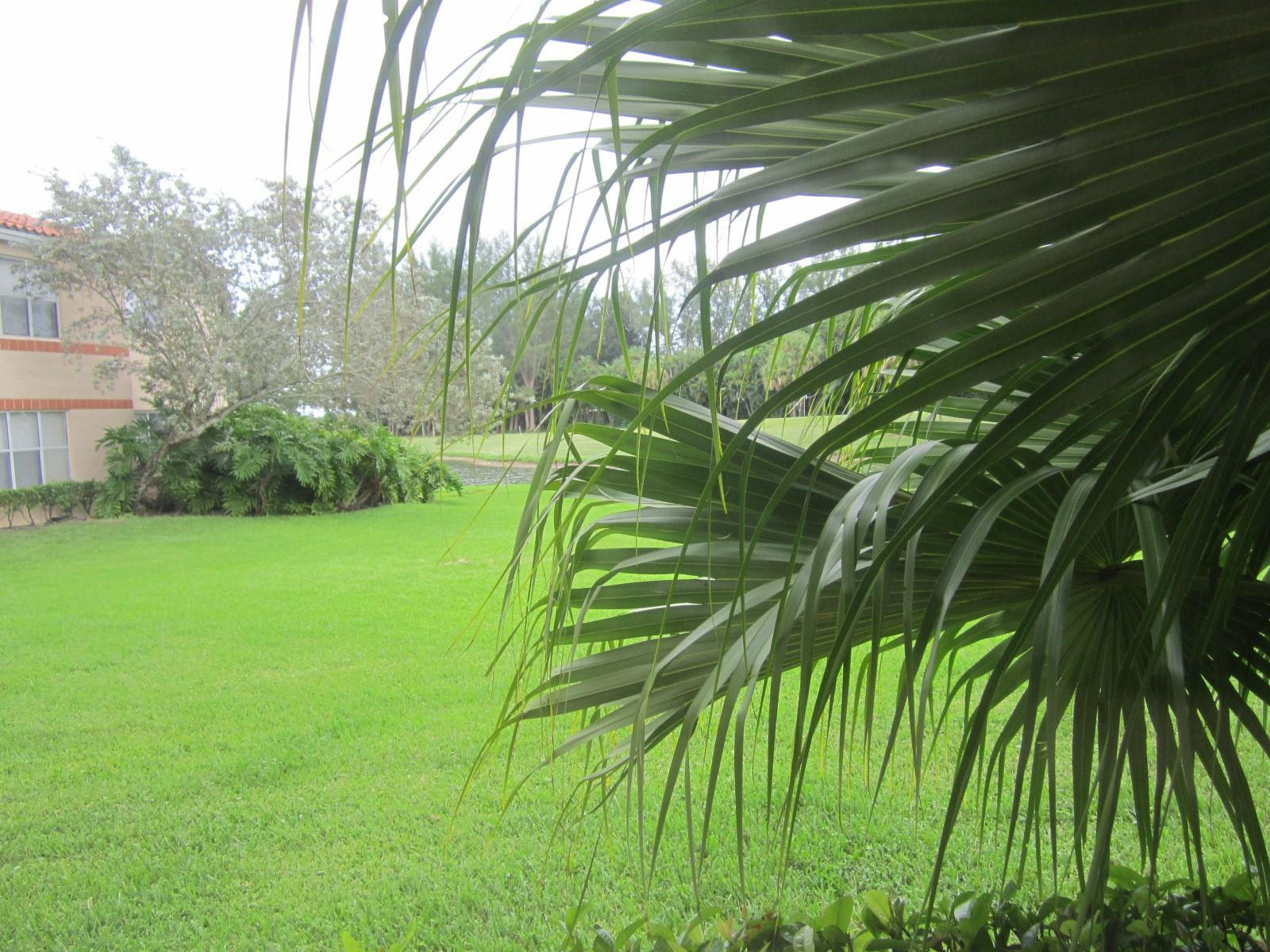 CORAL KEY CONDO - Residential Lease