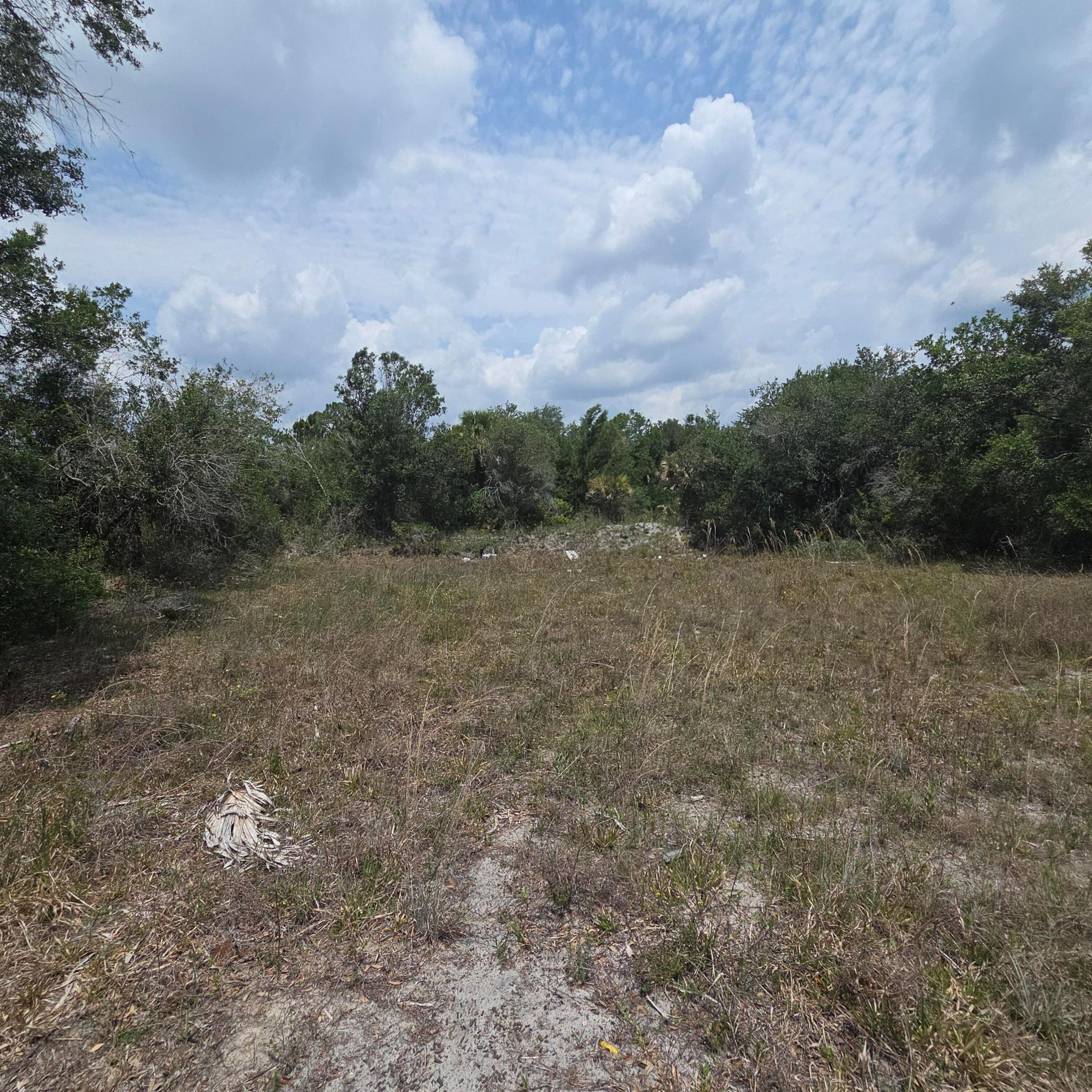 Nicely wooded 1.25 acre lot with large Oaks and cabbage trees. The lot has an existing culvert for access and a cleared area for camping. Lots of privacy on this lot.