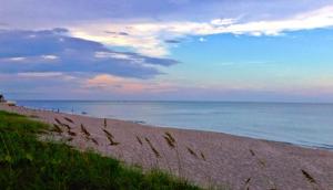 Jupiter Ocean Racquet Clu - Residential Lease
