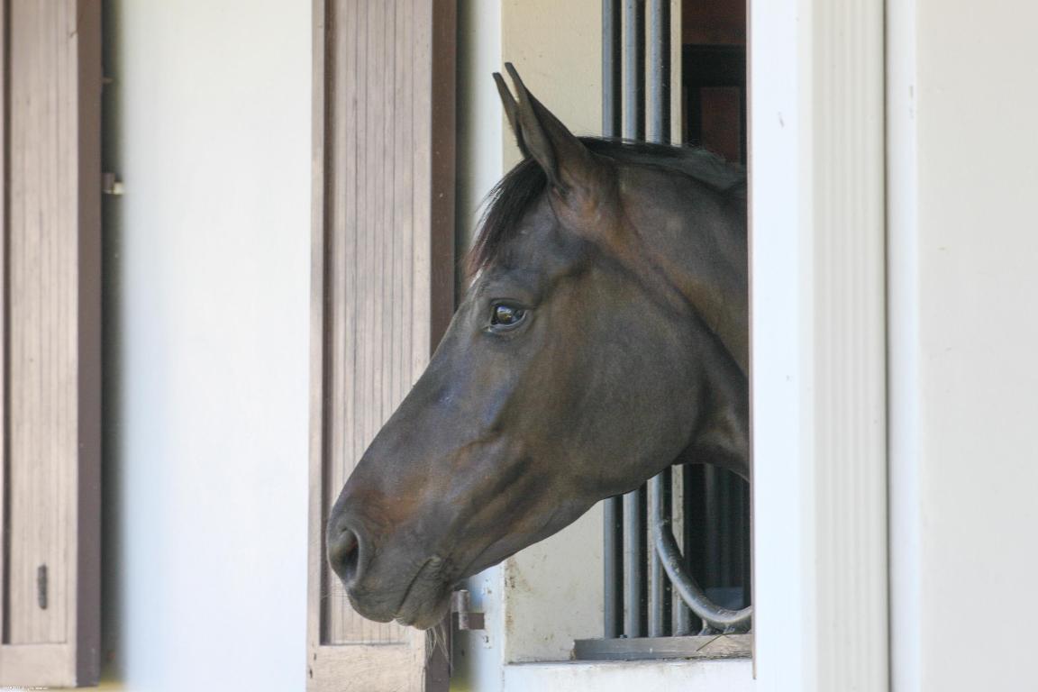 WHITE FENCES EQUESTRIAN ESTATES - Residential