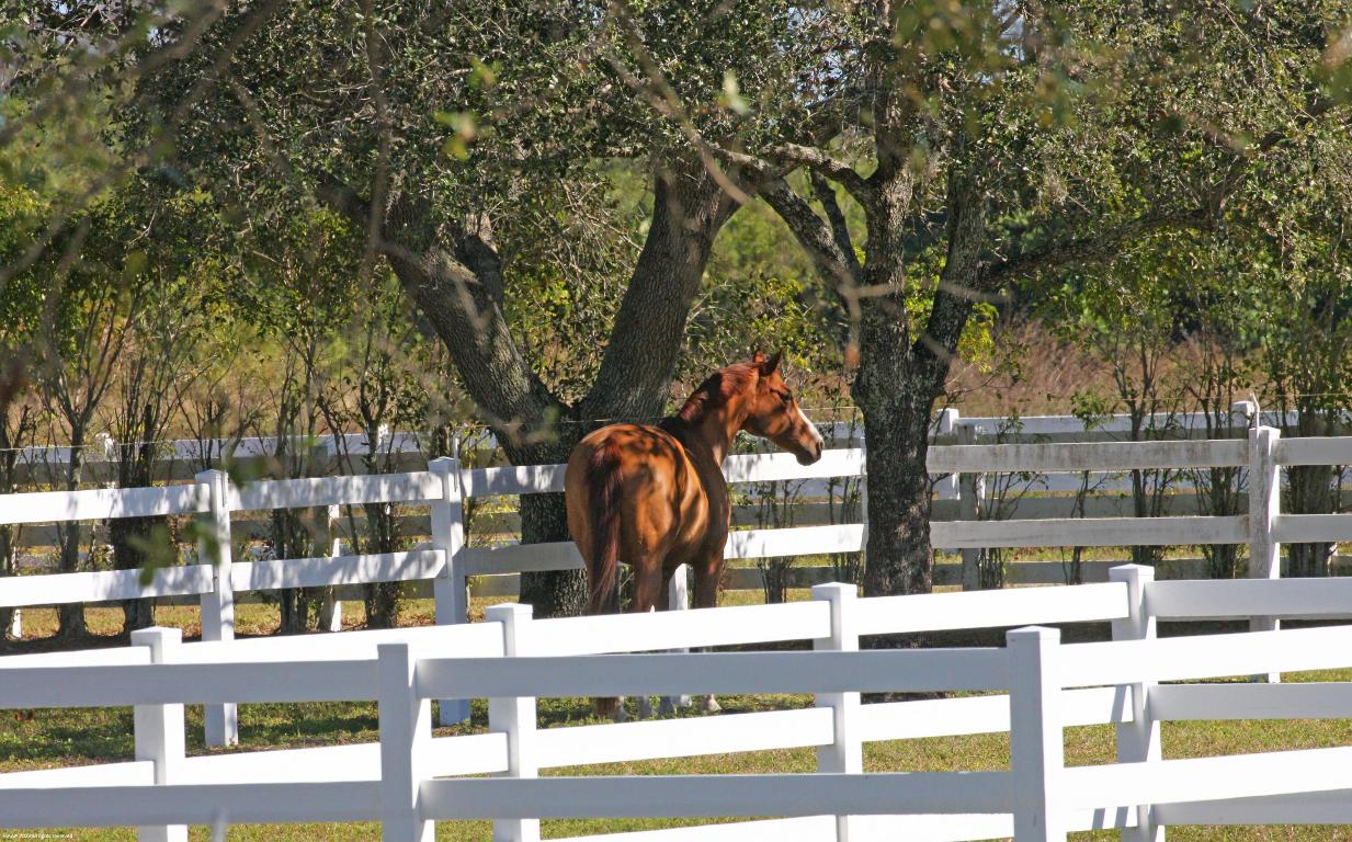 WHITE FENCES EQUESTRIAN ESTATES - Residential