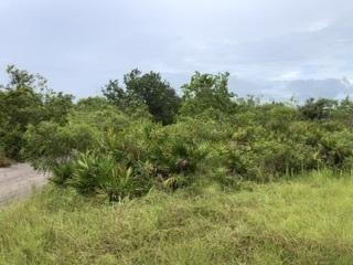 Partially wooded and partially cleared. Great hunting spot, campsite, or spot to unload your 4-wheelers for a day of riding around miles of trails.Owner financing available