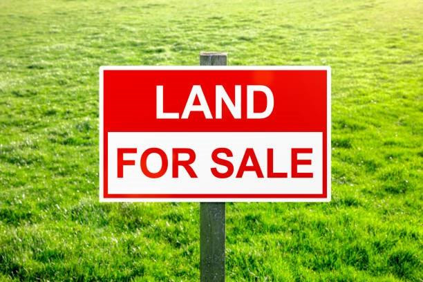 DOUBLE CORNER LOTS 10 AND 11 LOCATED IN A NICE NEIGHBORHOOD NEAR SCHOOLS, READY TO BUILD YOUR DREAM HOME OR CAN BE USED FOR INVESTMENT. ALSO UTILITIES ARE AVAILABLE. HURRY UP AND MAKE AN OFFER.