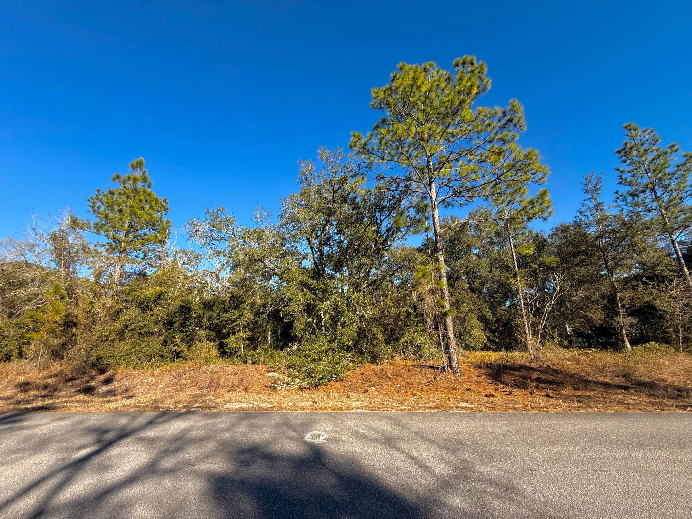 RAINBOW LAKES ESTATES - Land