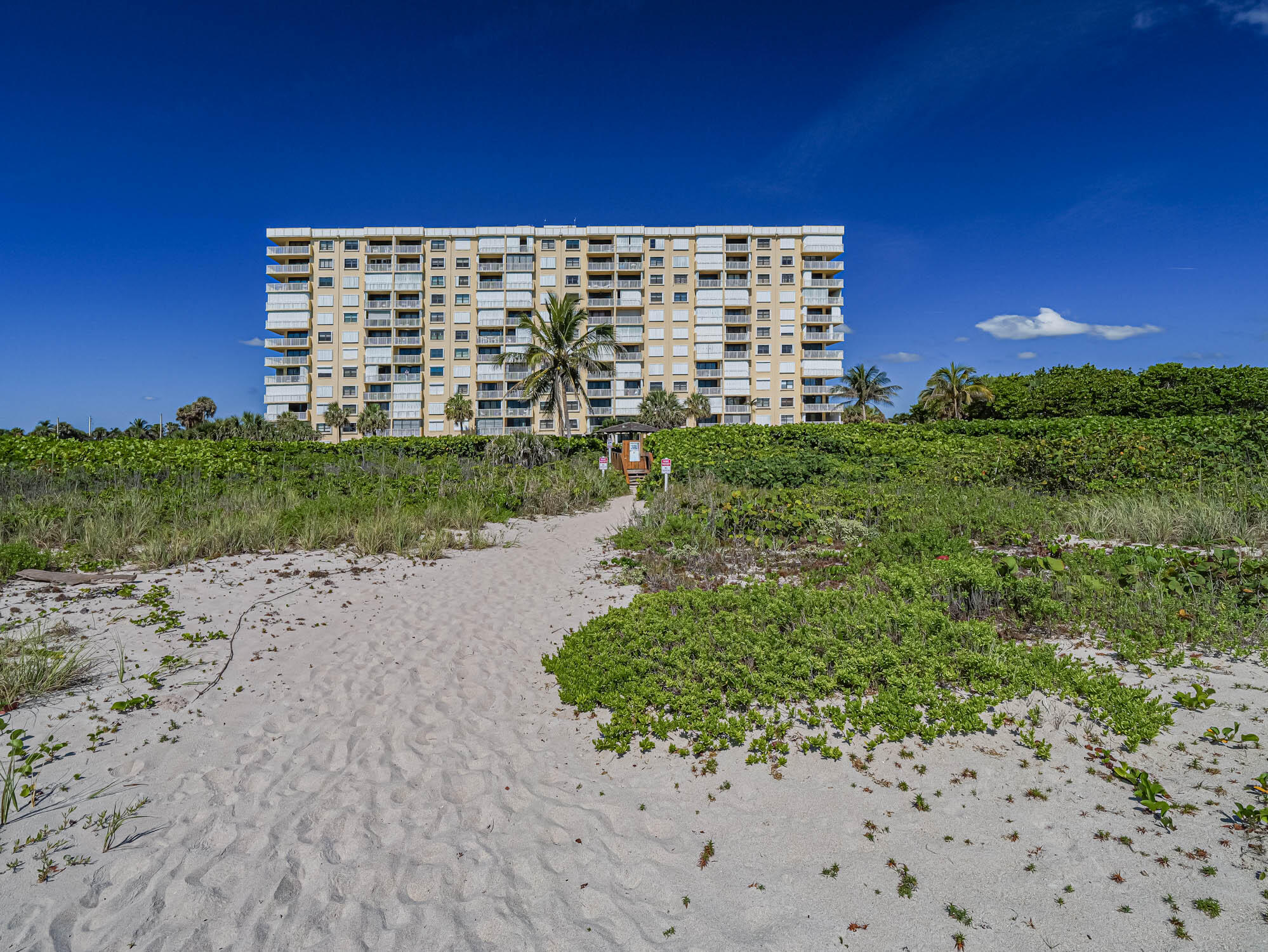 SEA PALMS CONDOMINIUM - Residential Lease