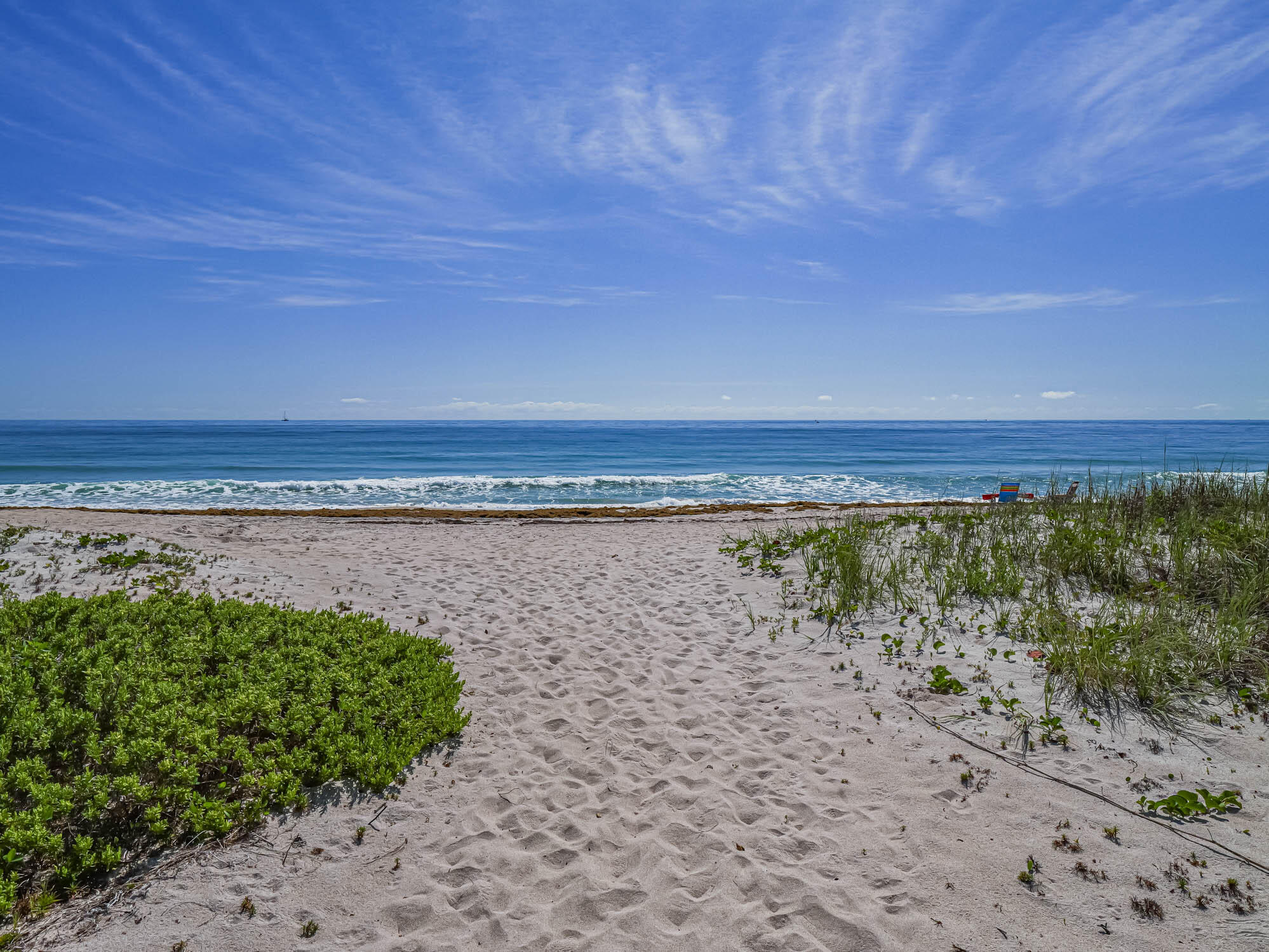 SEA PALMS CONDOMINIUM - Residential Lease