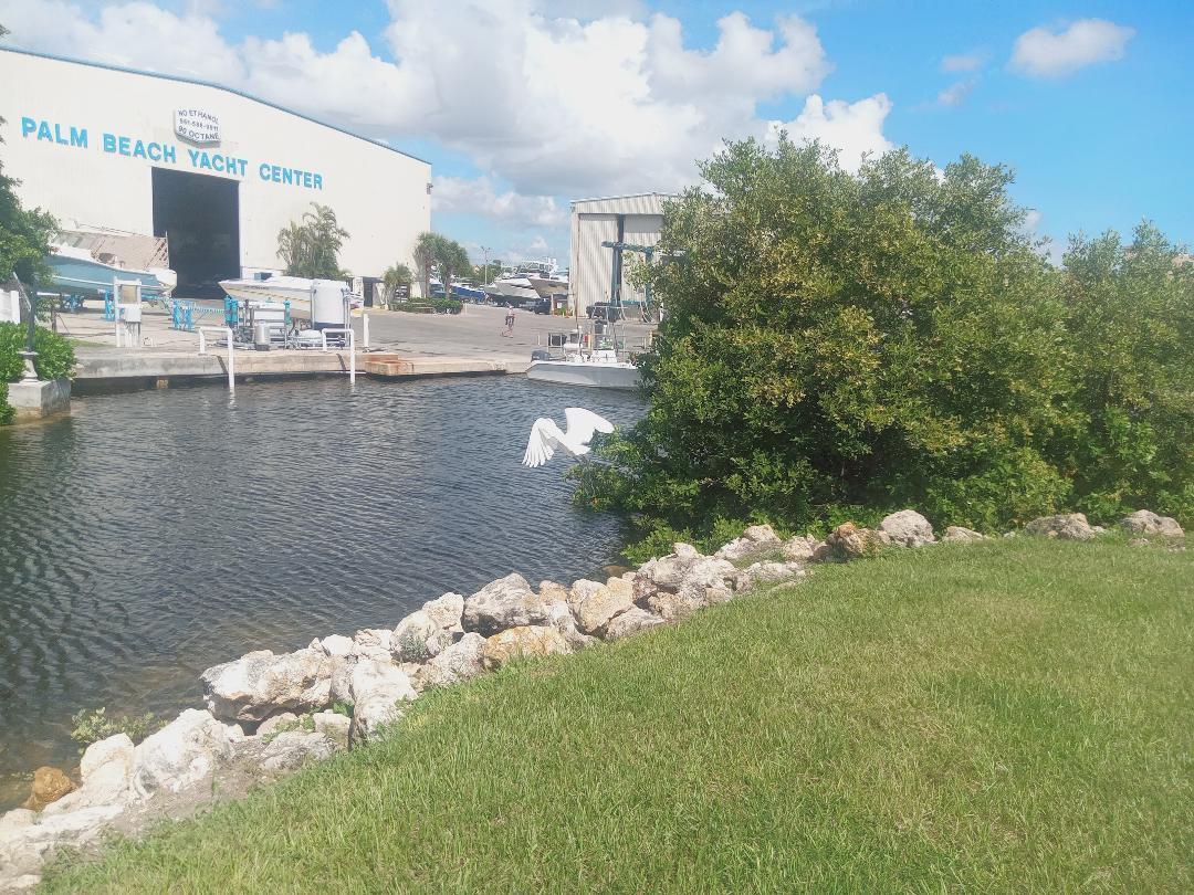 HYPOLUXO HARBOR CLUB CO-OP - Residential Lease