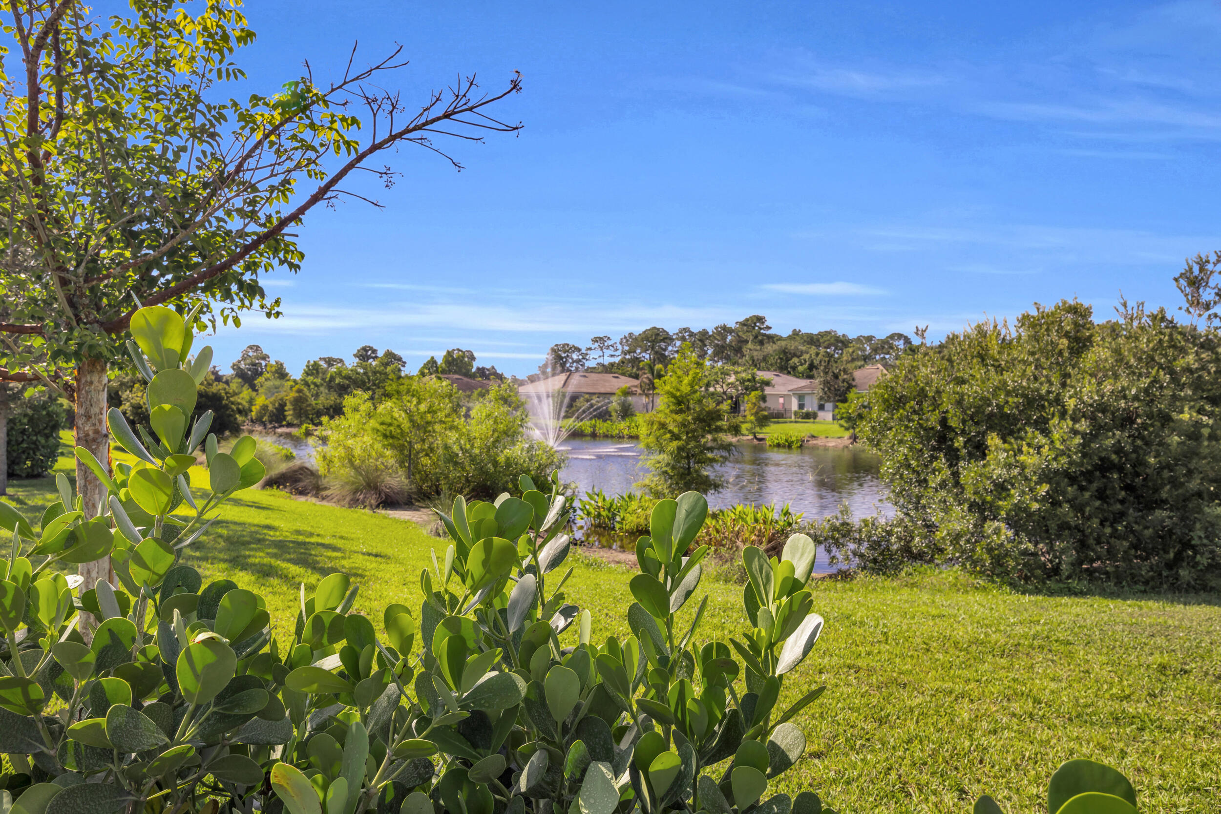 BERRY GROVE - Residential