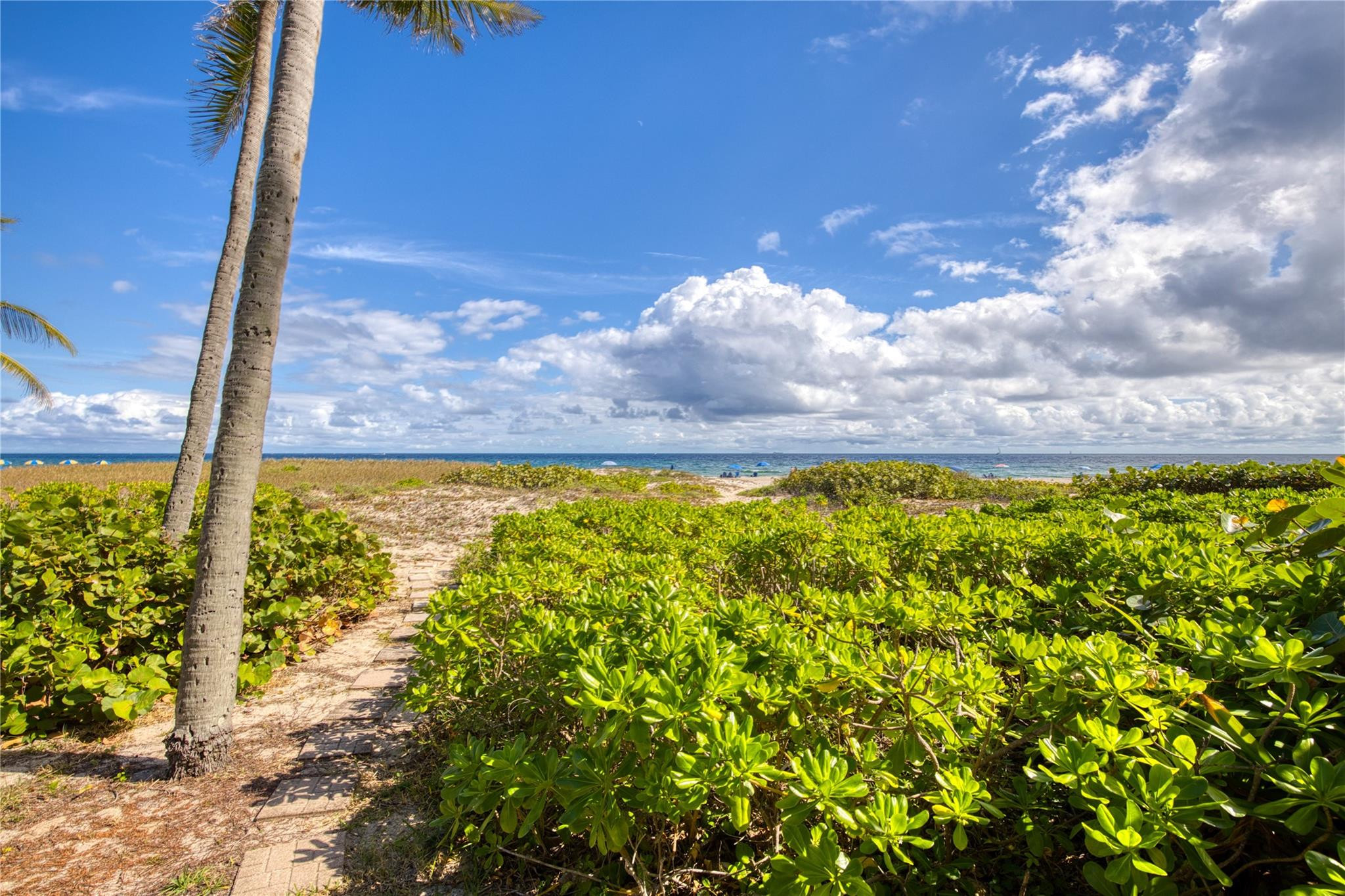 OCEAN TOWNHOUSES CONDO - Residential