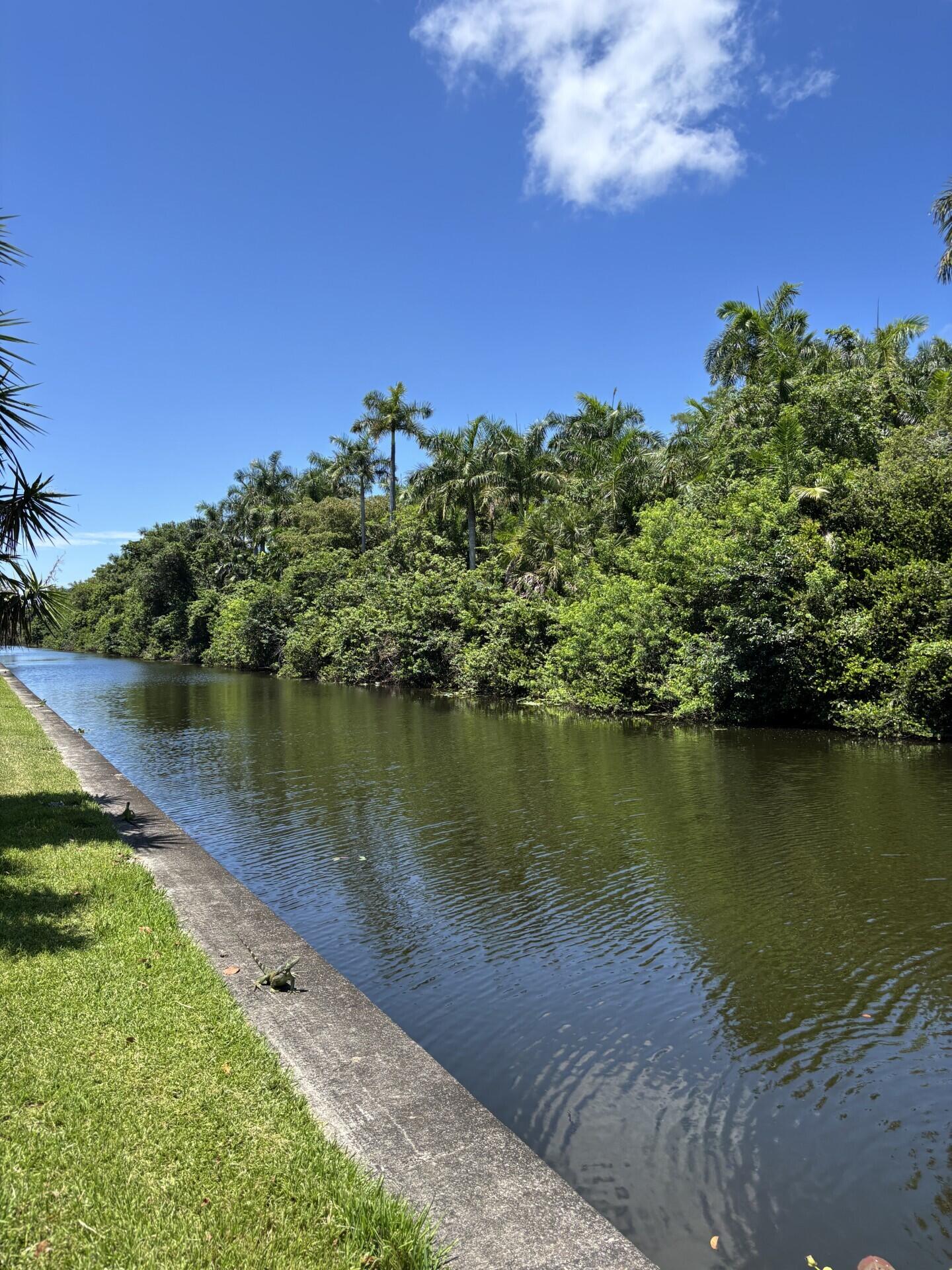 ROYAL PARK CONDO - Residential