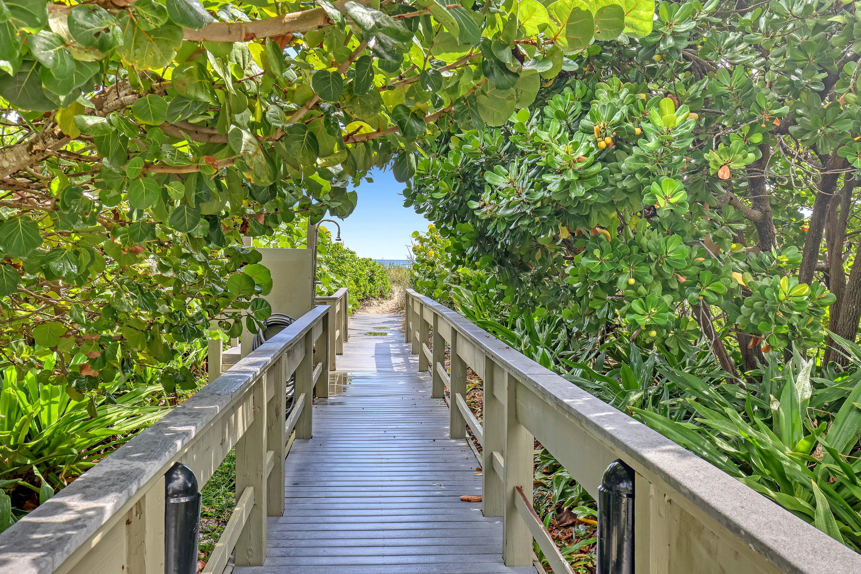 OCEANTREE CONDO - Residential Lease