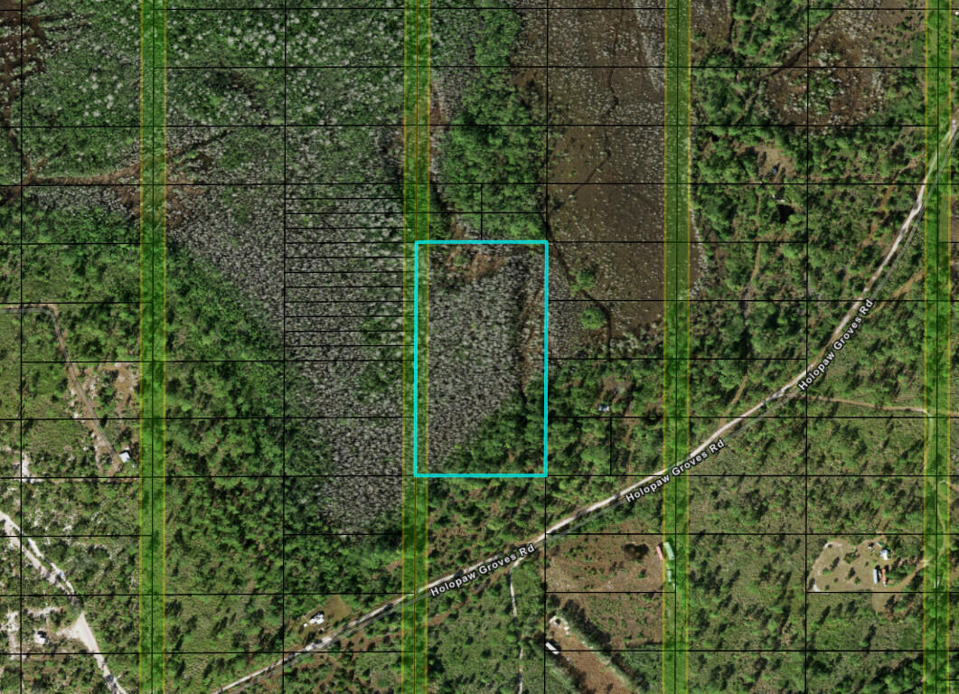 Over 5 acres in Holopaw with owner financing and convenient access.